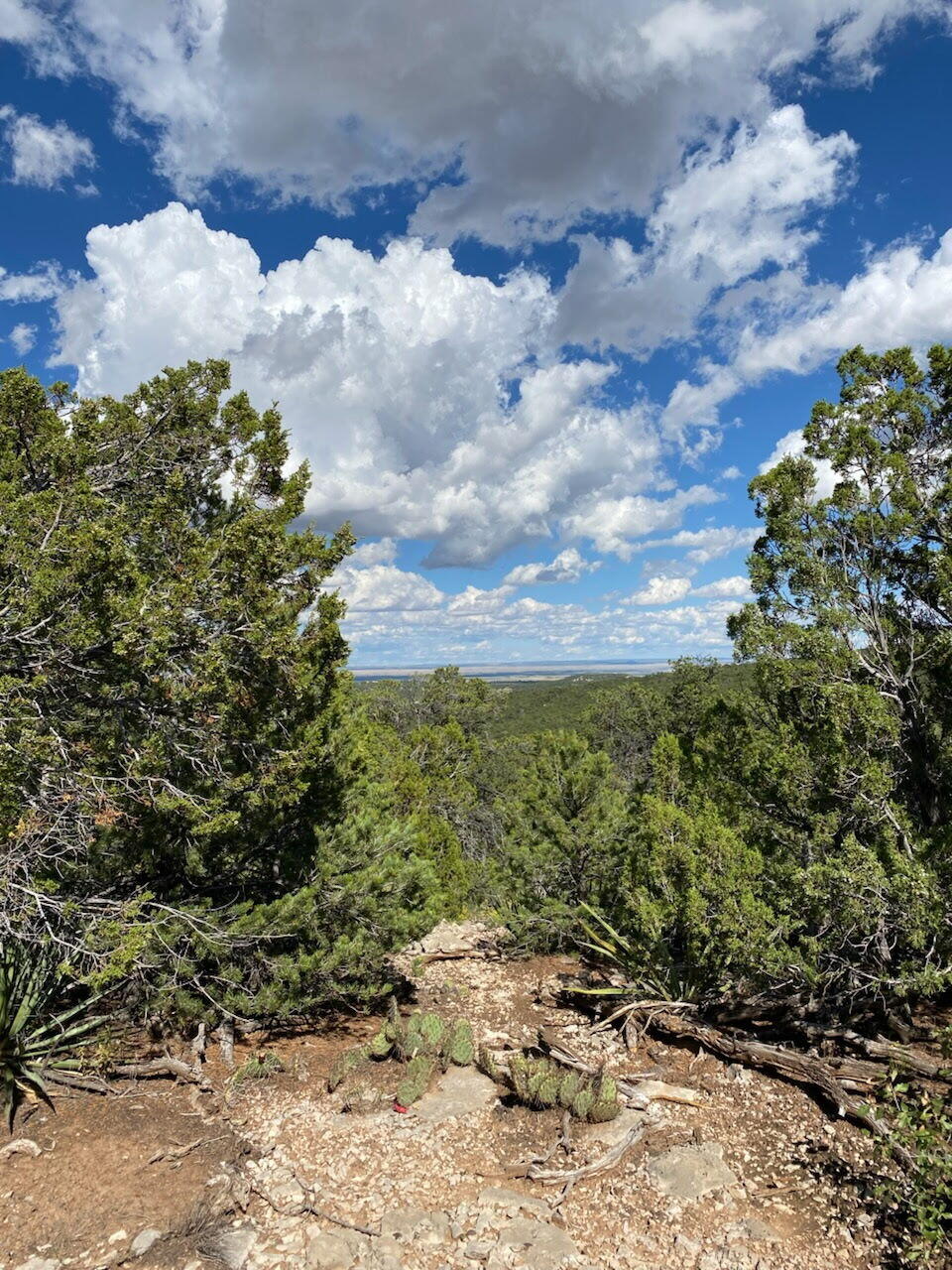 Photo 4 — 5 Mormon Road