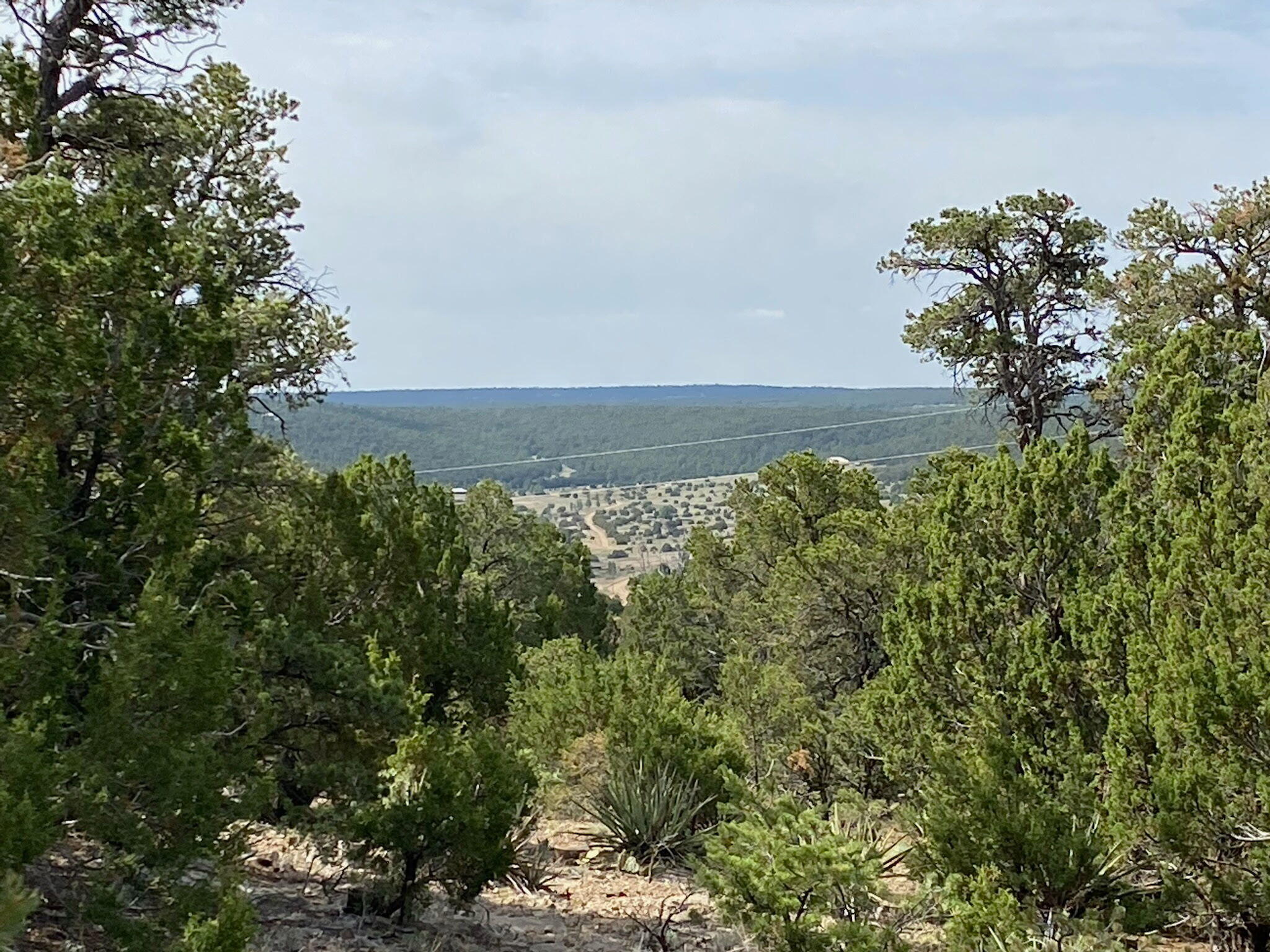 Photo 3 — 5 Mormon Road