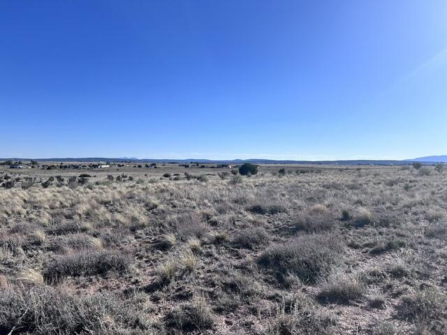 Photo 5 —  N Weimer Road