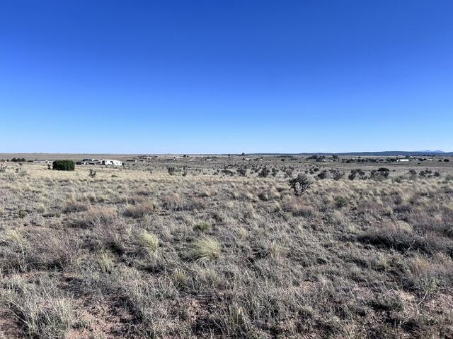 Photo 4 —  N Weimer Road