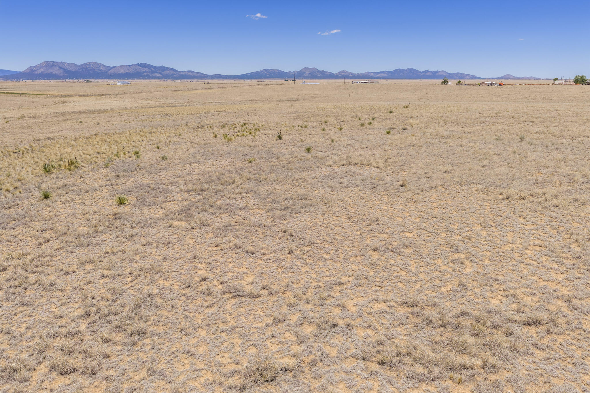 Photo 7 — 33 Roach Road