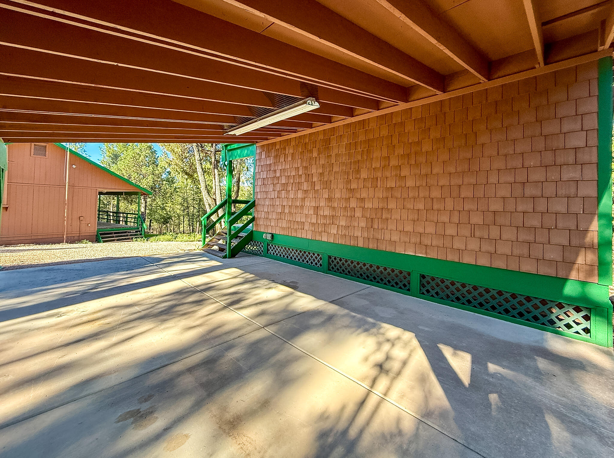 Photo 17 — 56 Pinetree Road