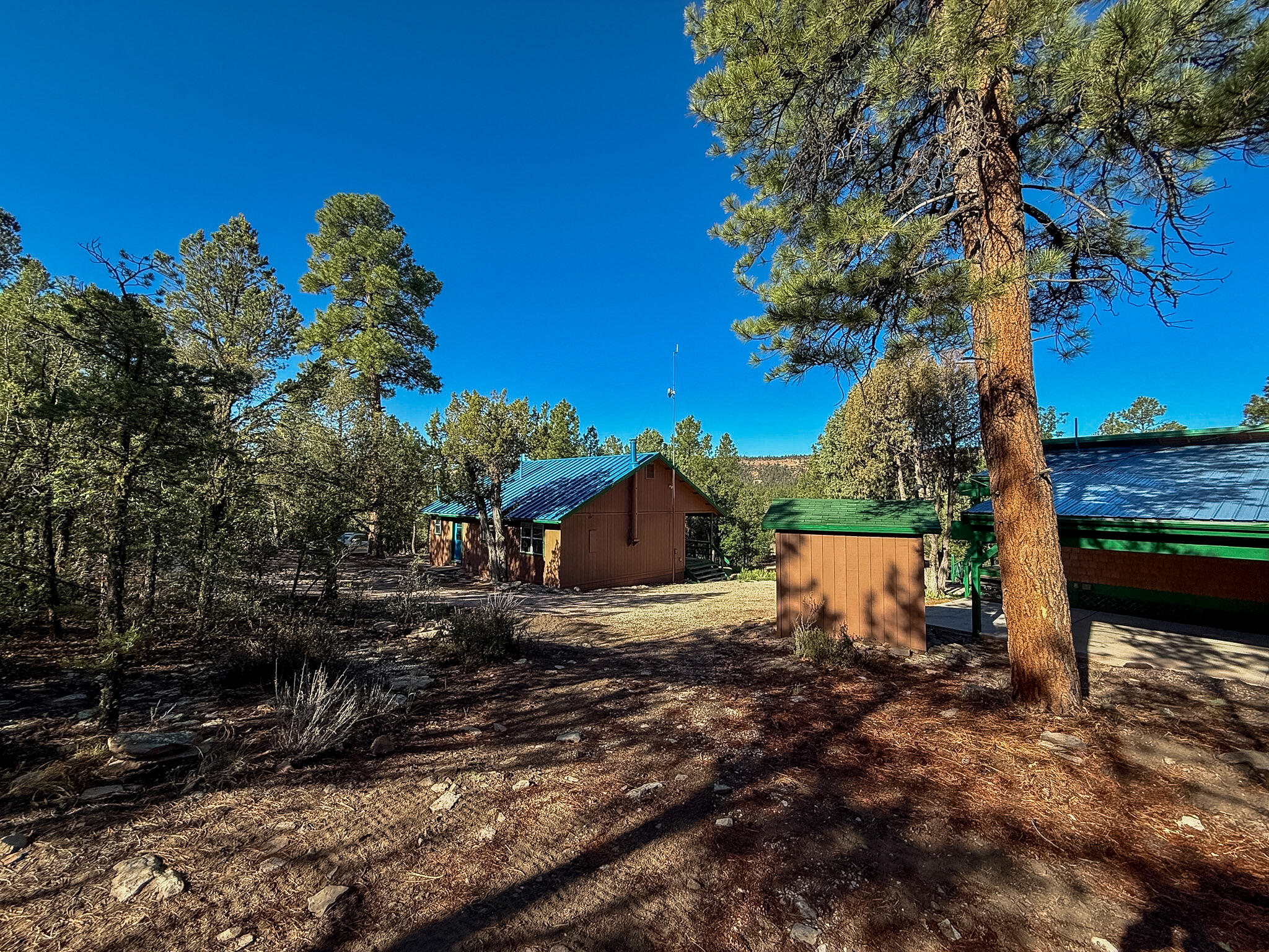 Photo 20 — 56 Pinetree Road