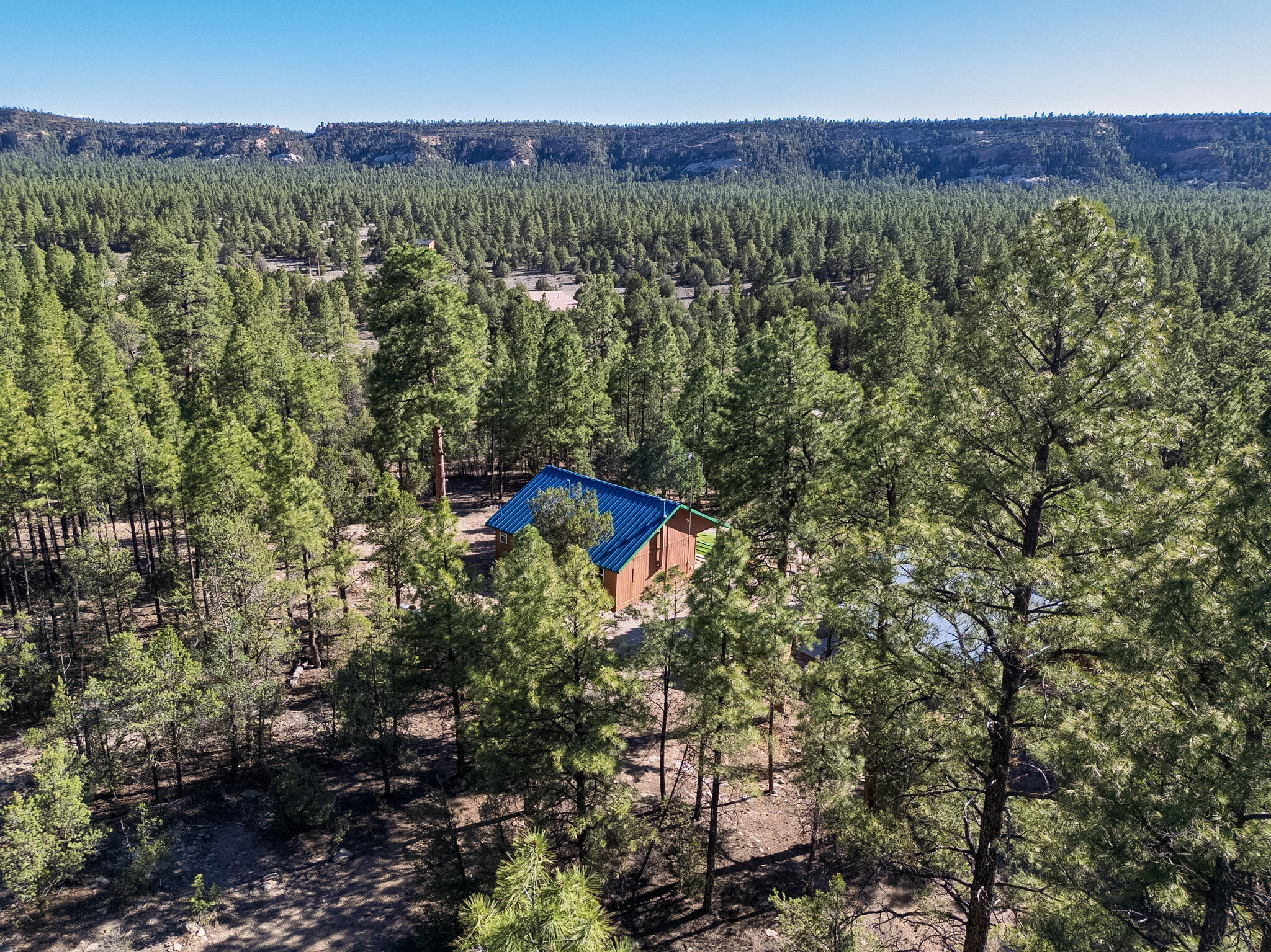 Photo 2 — 56 Pinetree Road