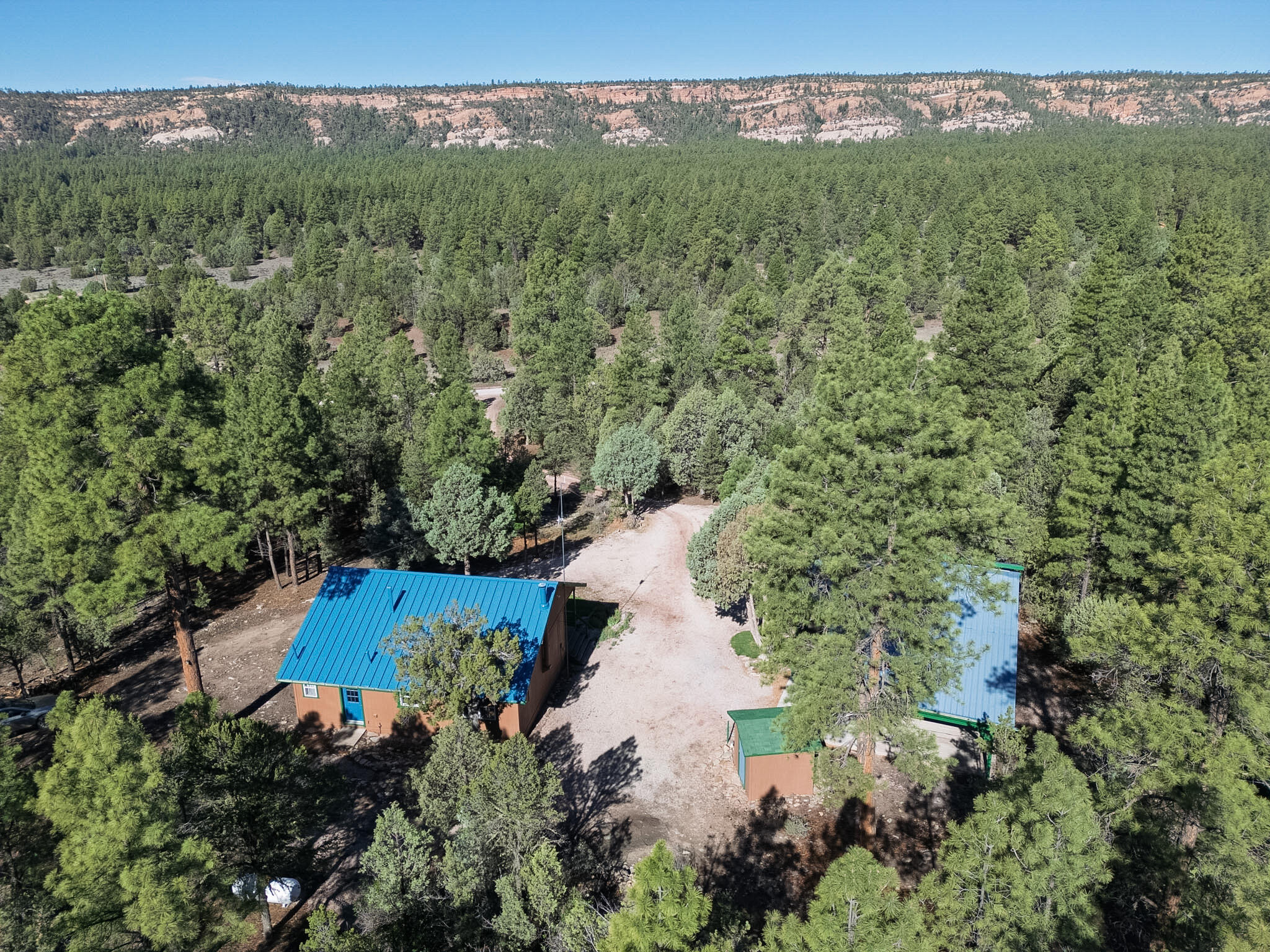 Photo 3 — 56 Pinetree Road