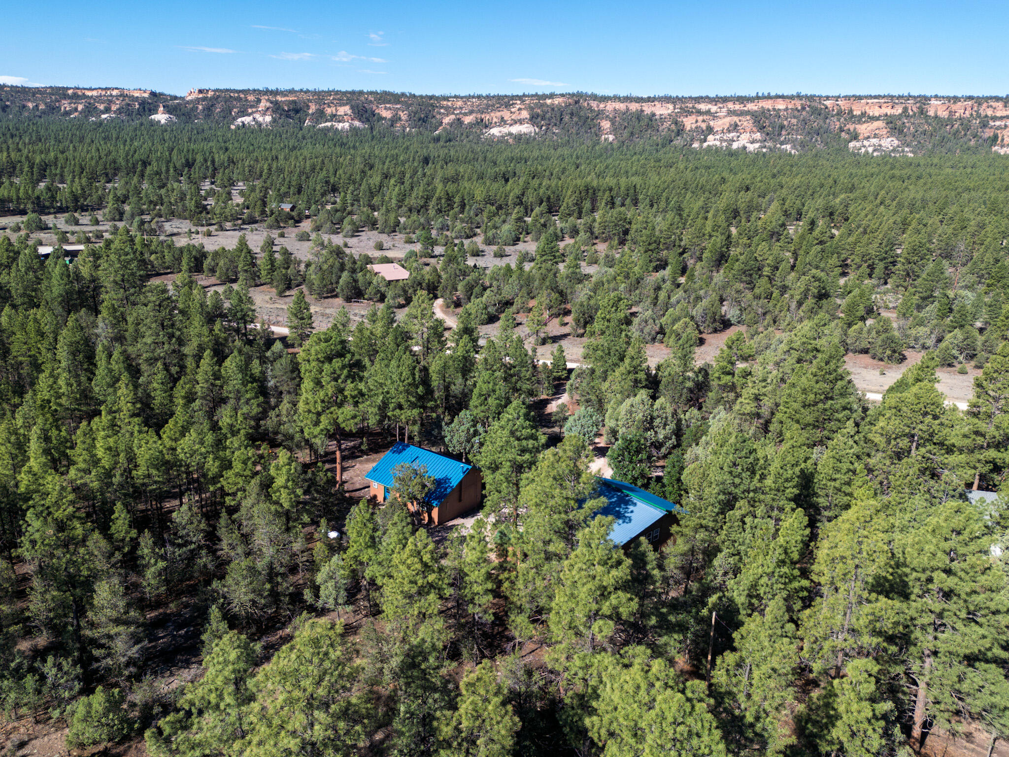 Photo 4 — 56 Pinetree Road