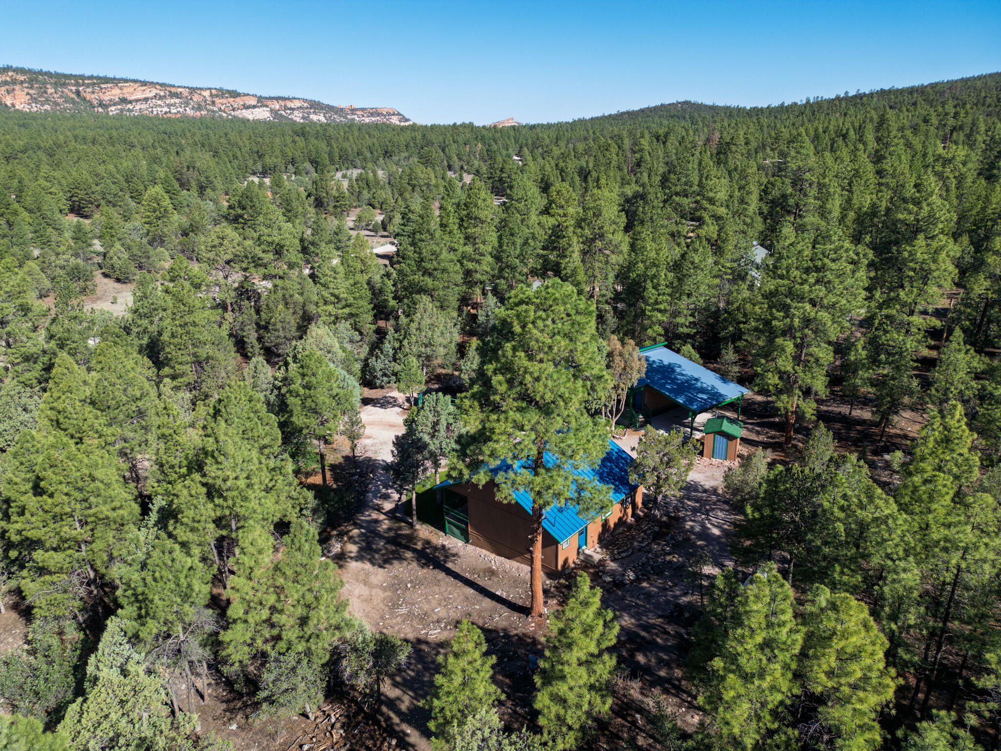 Photo 5 — 56 Pinetree Road