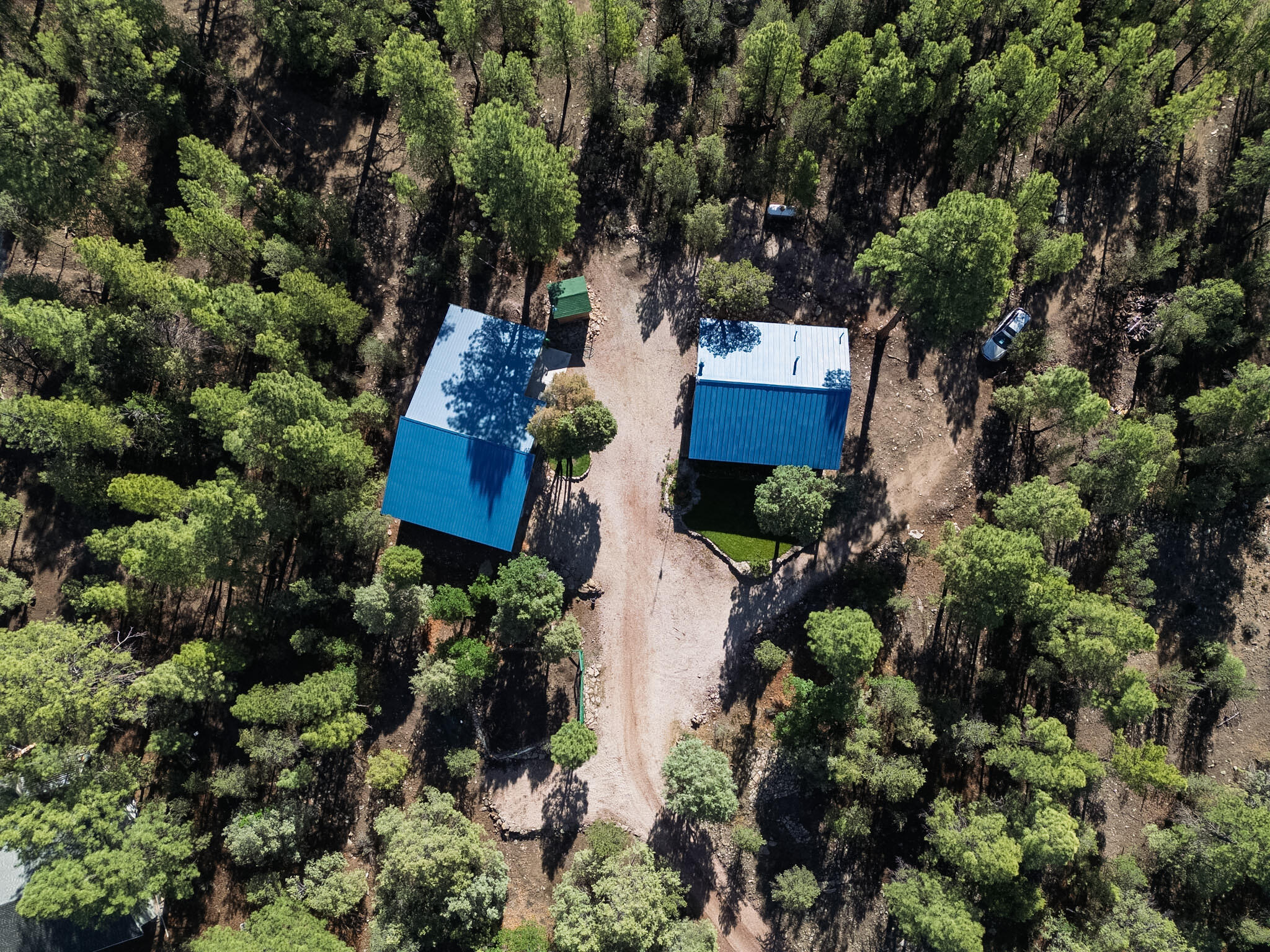 Photo 6 — 56 Pinetree Road