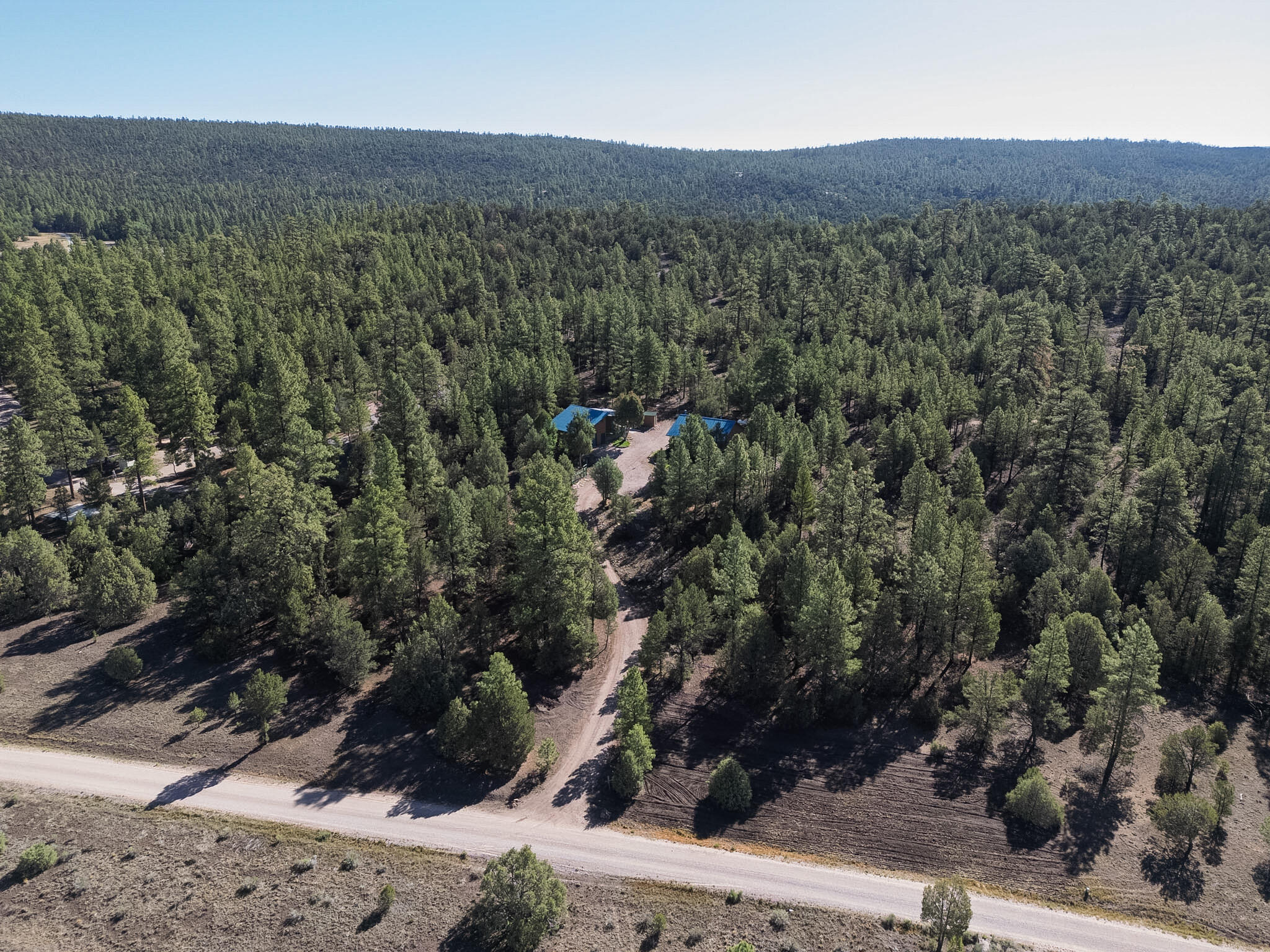 Photo 7 — 56 Pinetree Road