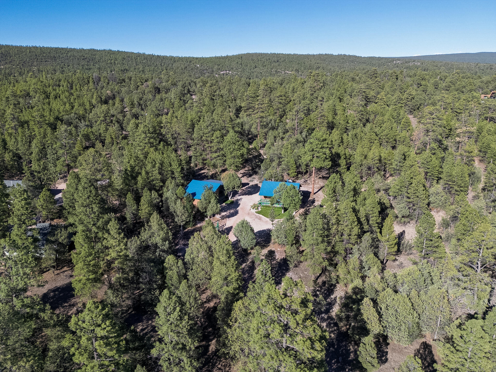 Photo 8 — 56 Pinetree Road