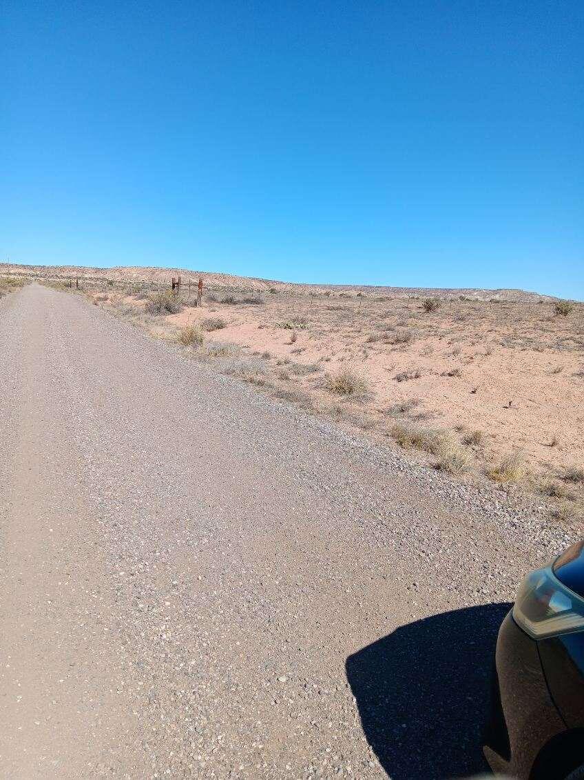 Photo 3 —  Canyon Drive