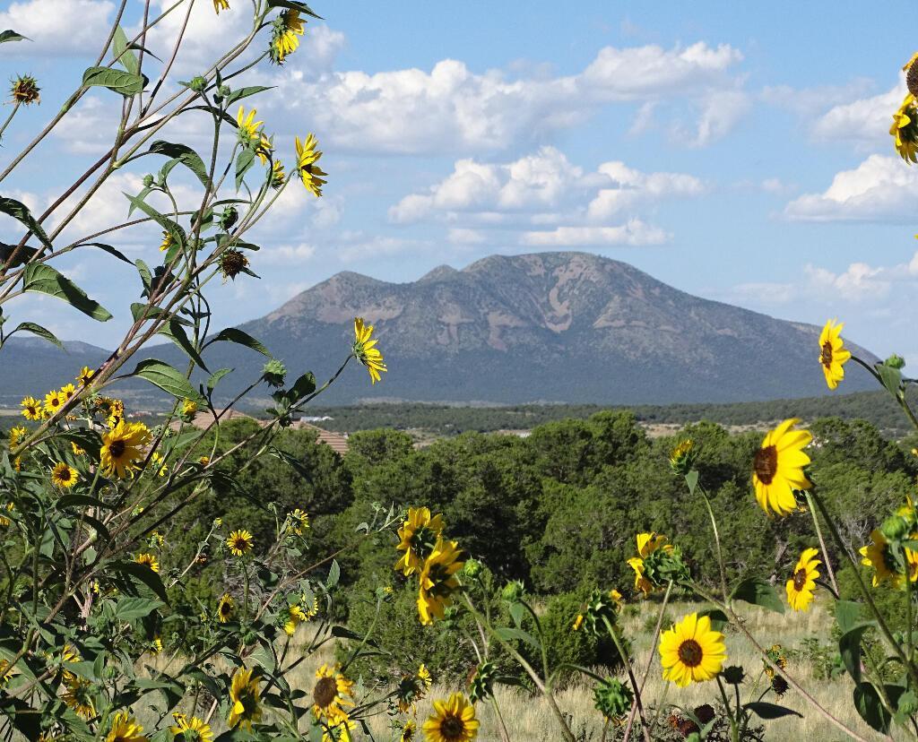 18 Thunder Hawk, Tijeras, NM 87059