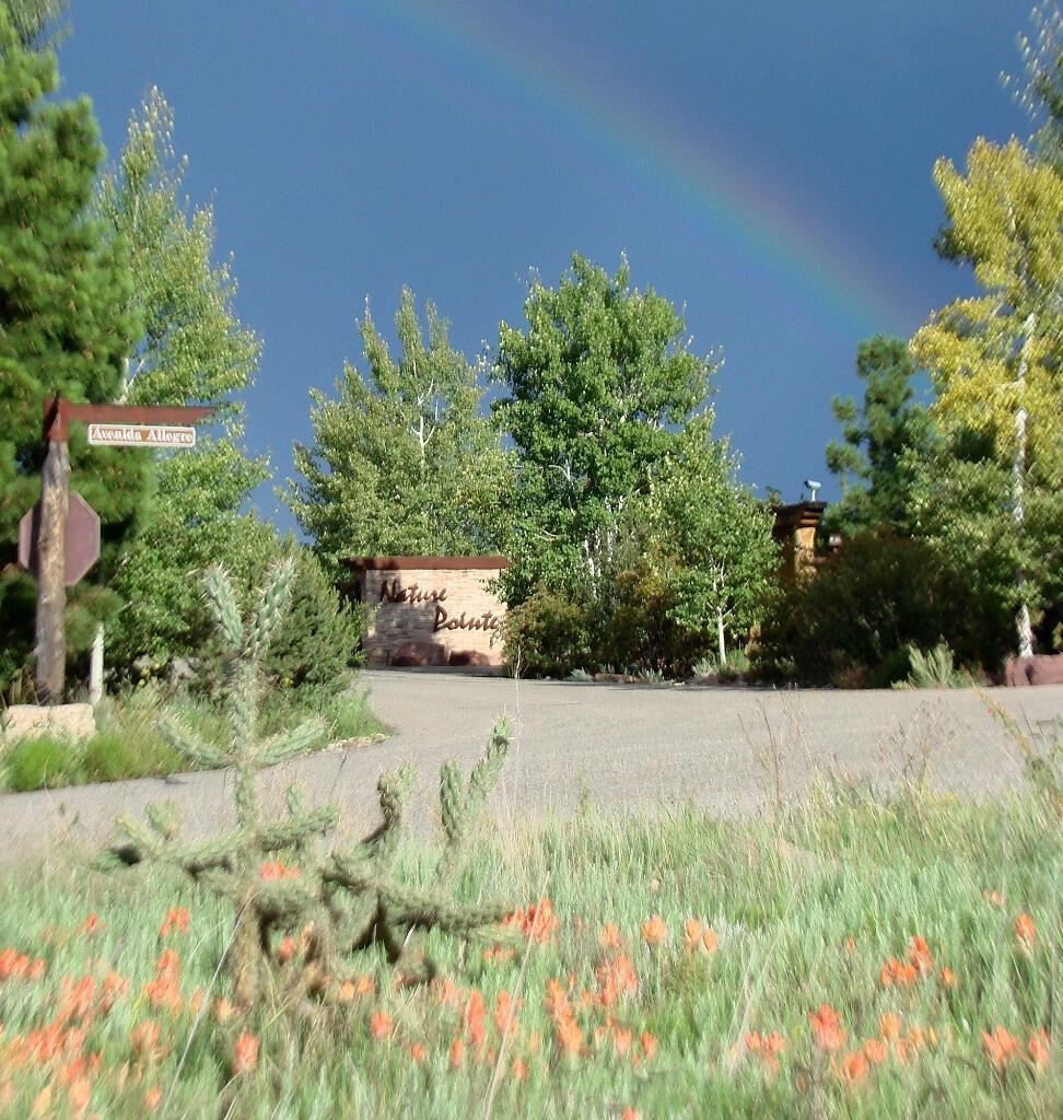 Photo 16 — 18 Thunder Hawk