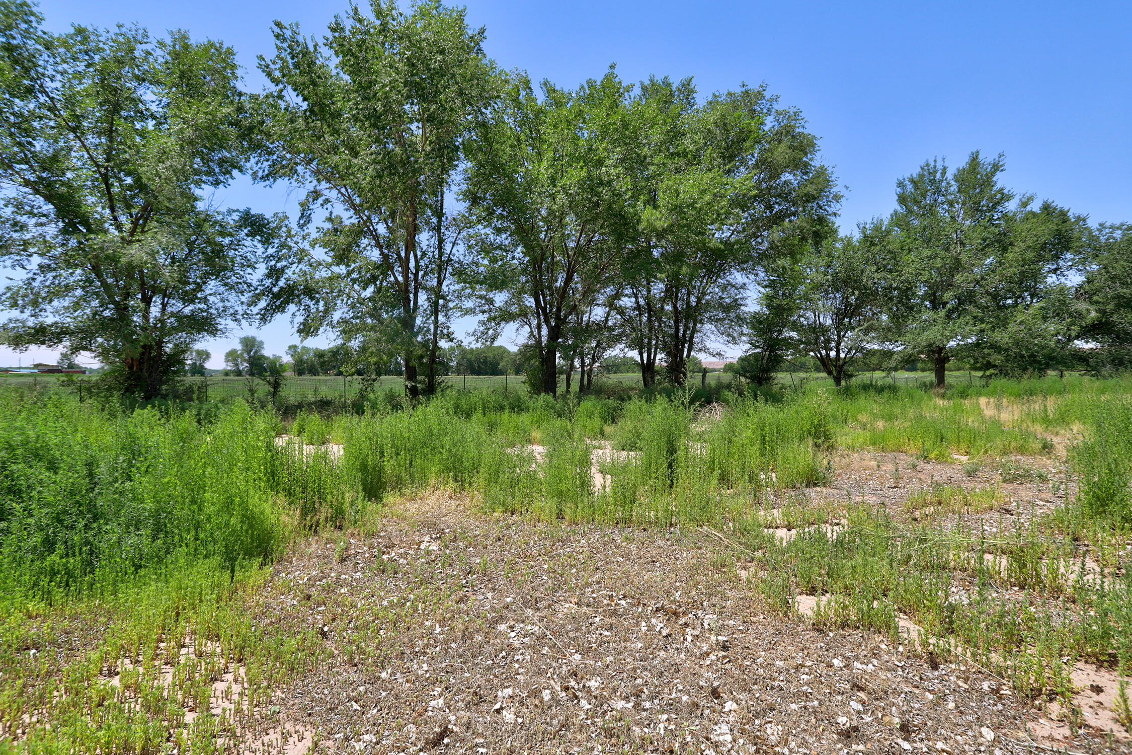 Photo 2 — 75 Romero Road