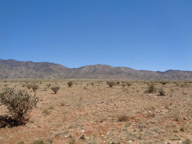  TINTO Road