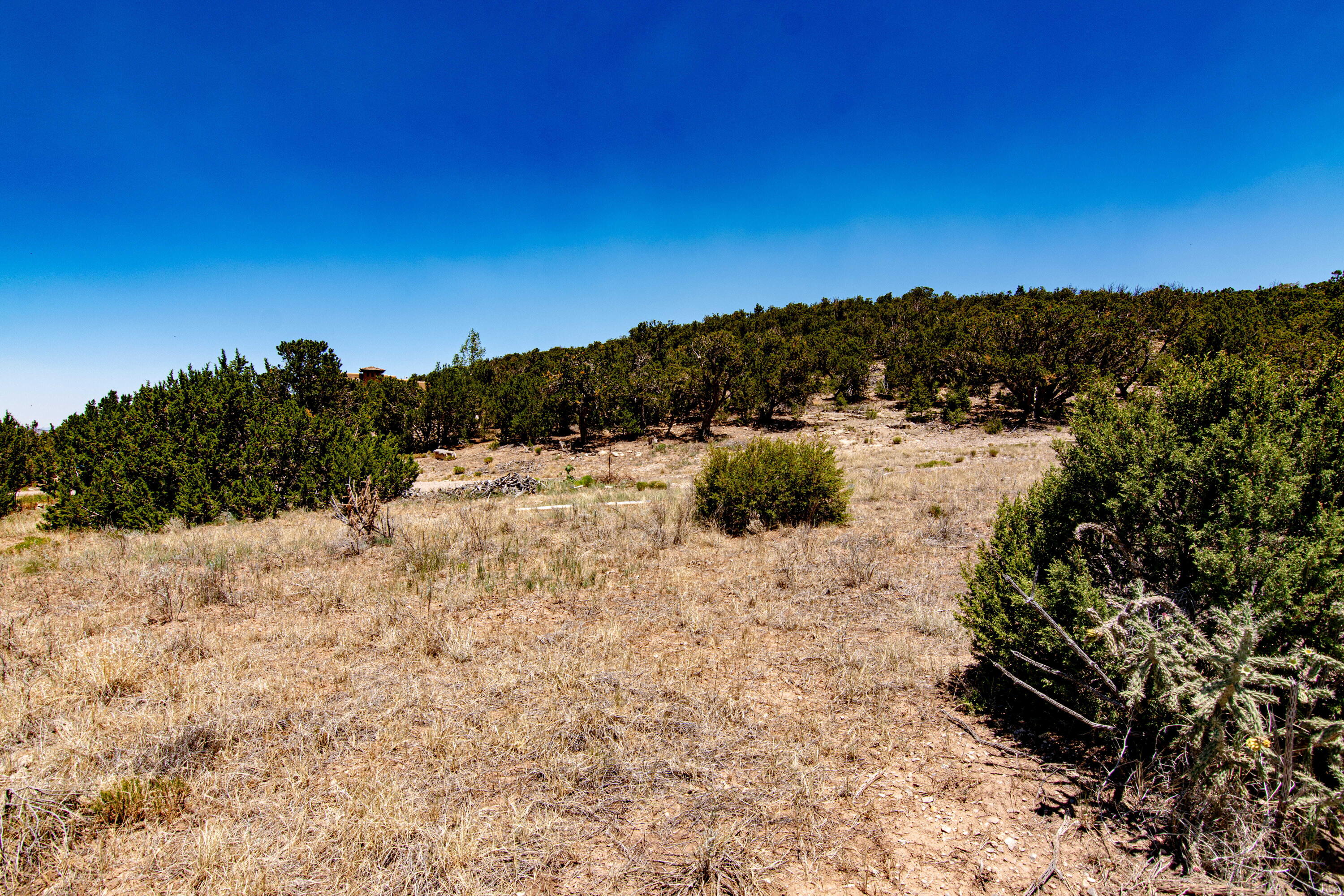 Photo 11 — 45 Canon Escondido Place
