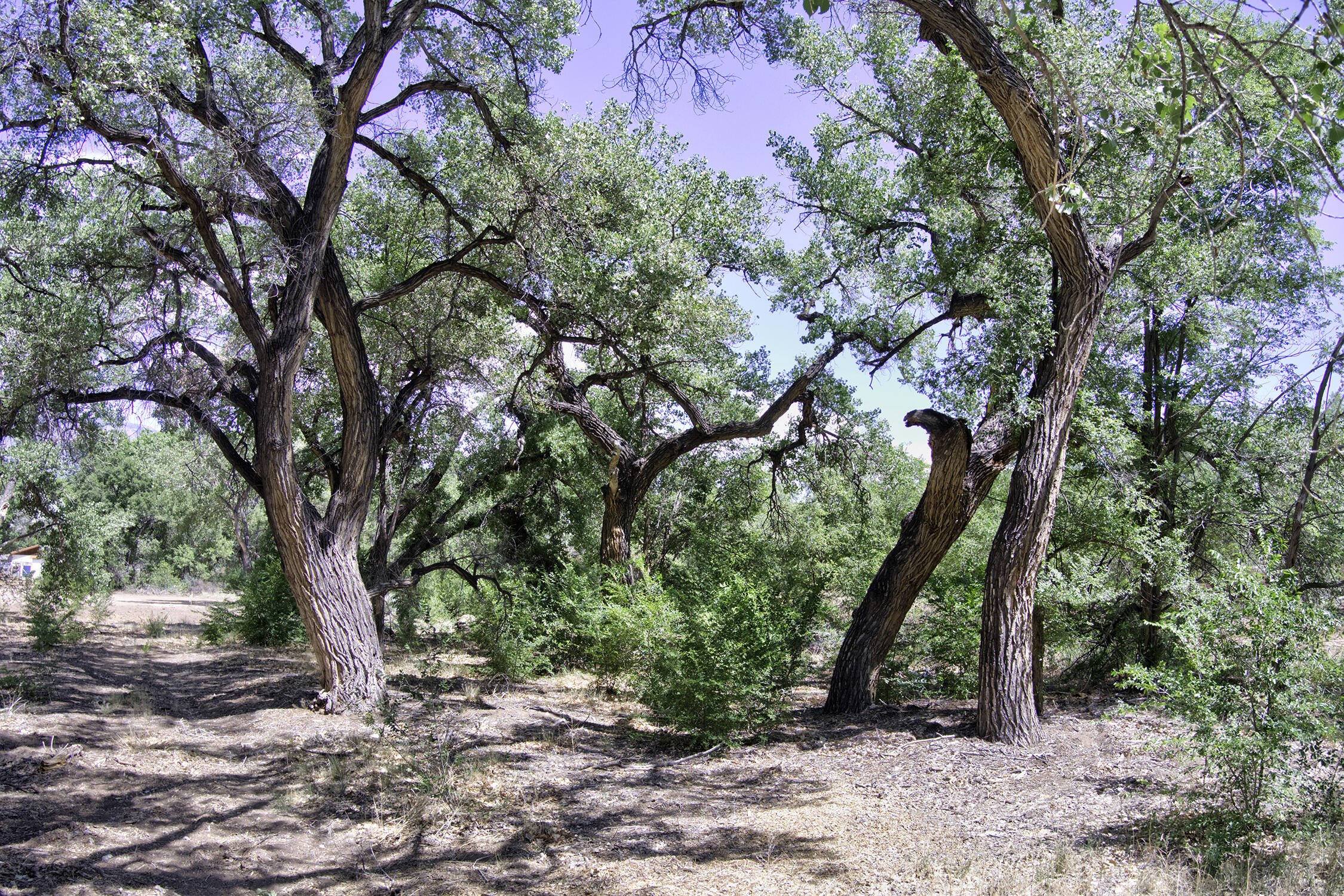 Photo 20 —  Bosque Oculto Lot B1-A