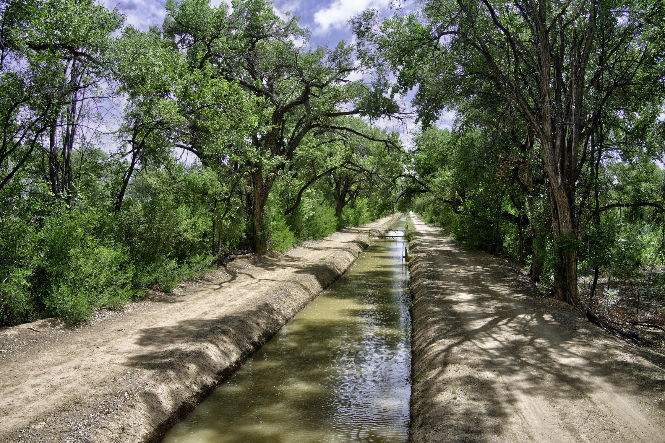 Photo 9 —  Bosque Oculto Lot B1-A