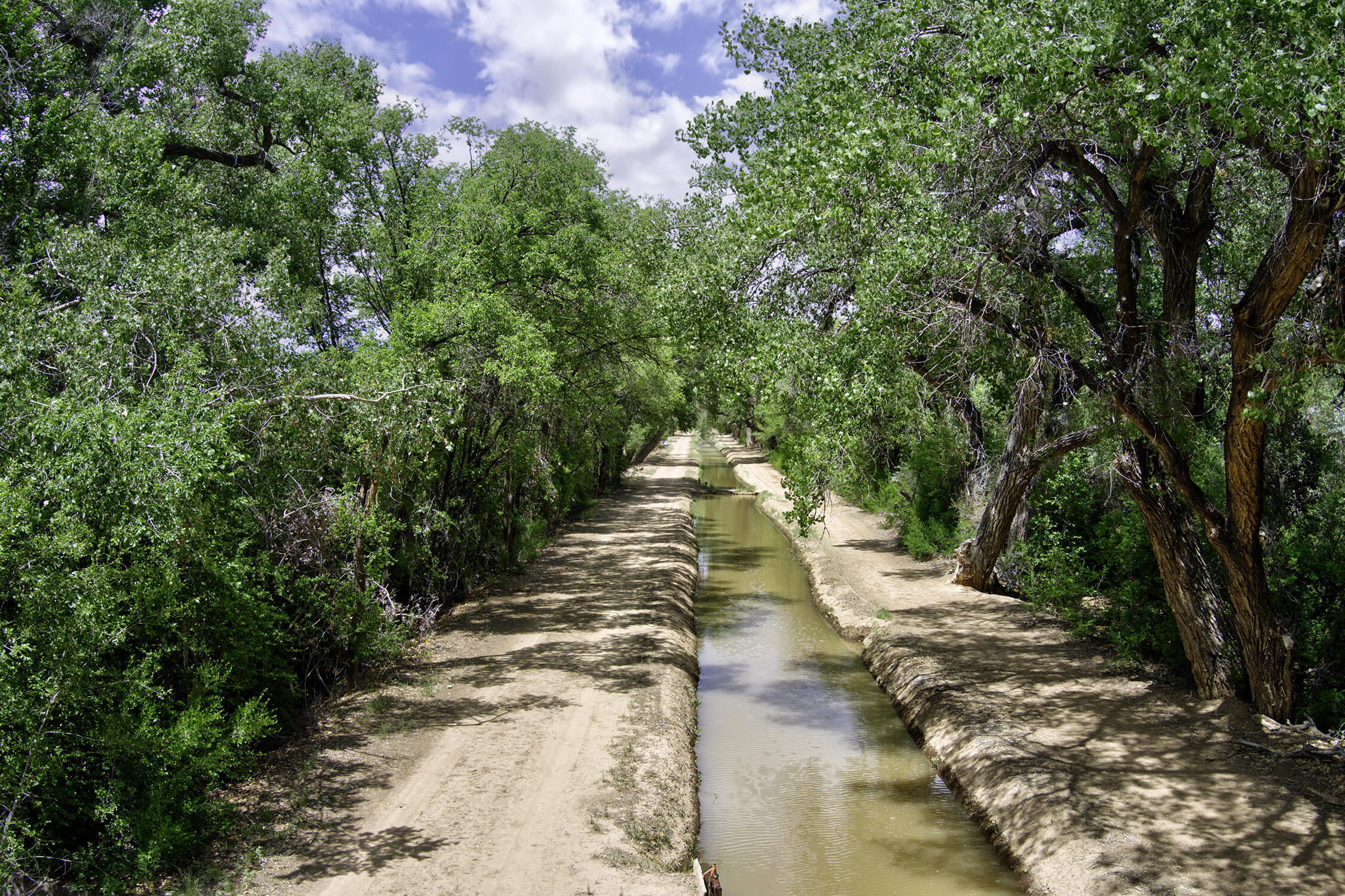 Photo 8 —  Bosque Oculto Lot B1-A
