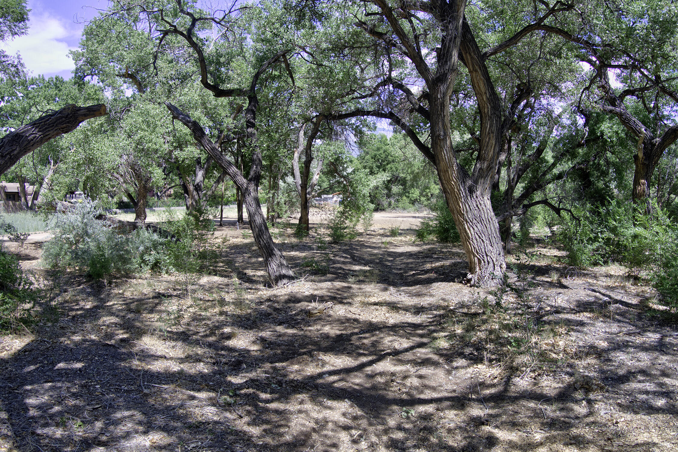 Photo 20 —  Bosque Oculto Lot B1-B
