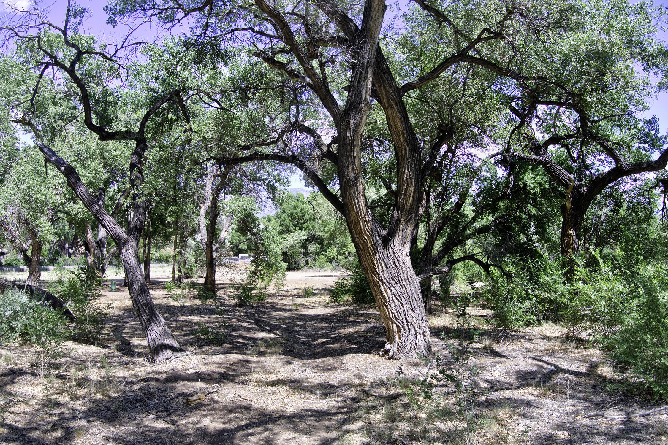 Photo 18 —  Bosque Oculto Lot B1-B