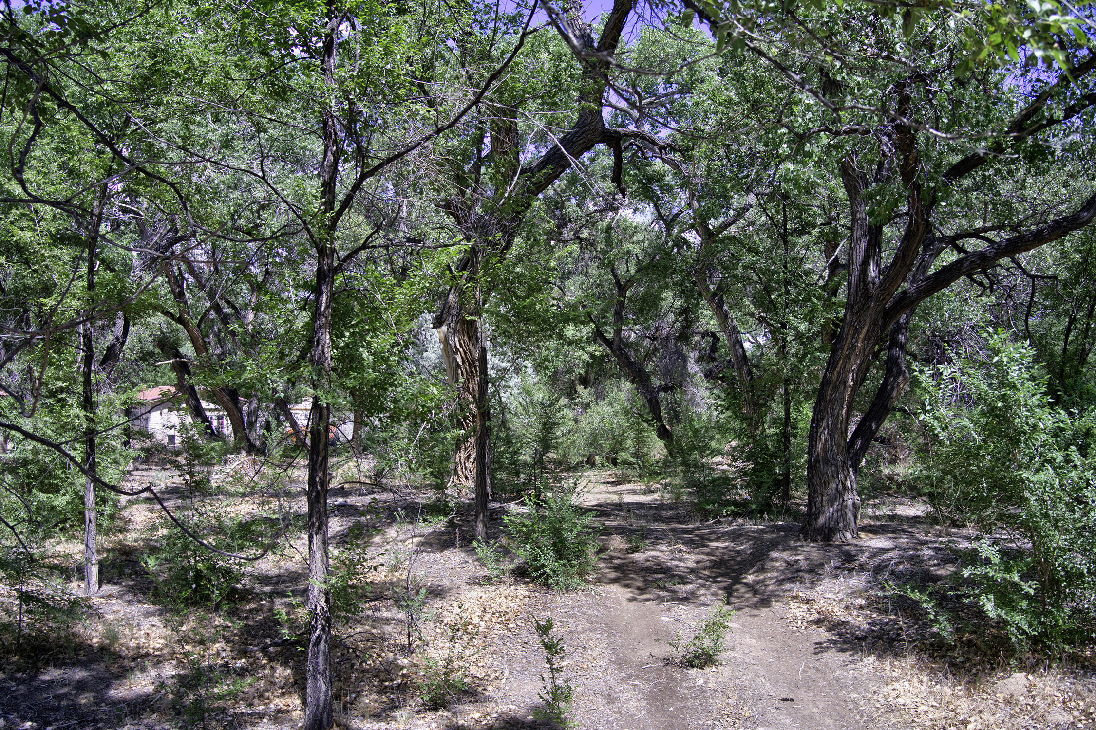 Photo 17 —  Bosque Oculto Lot B1-B