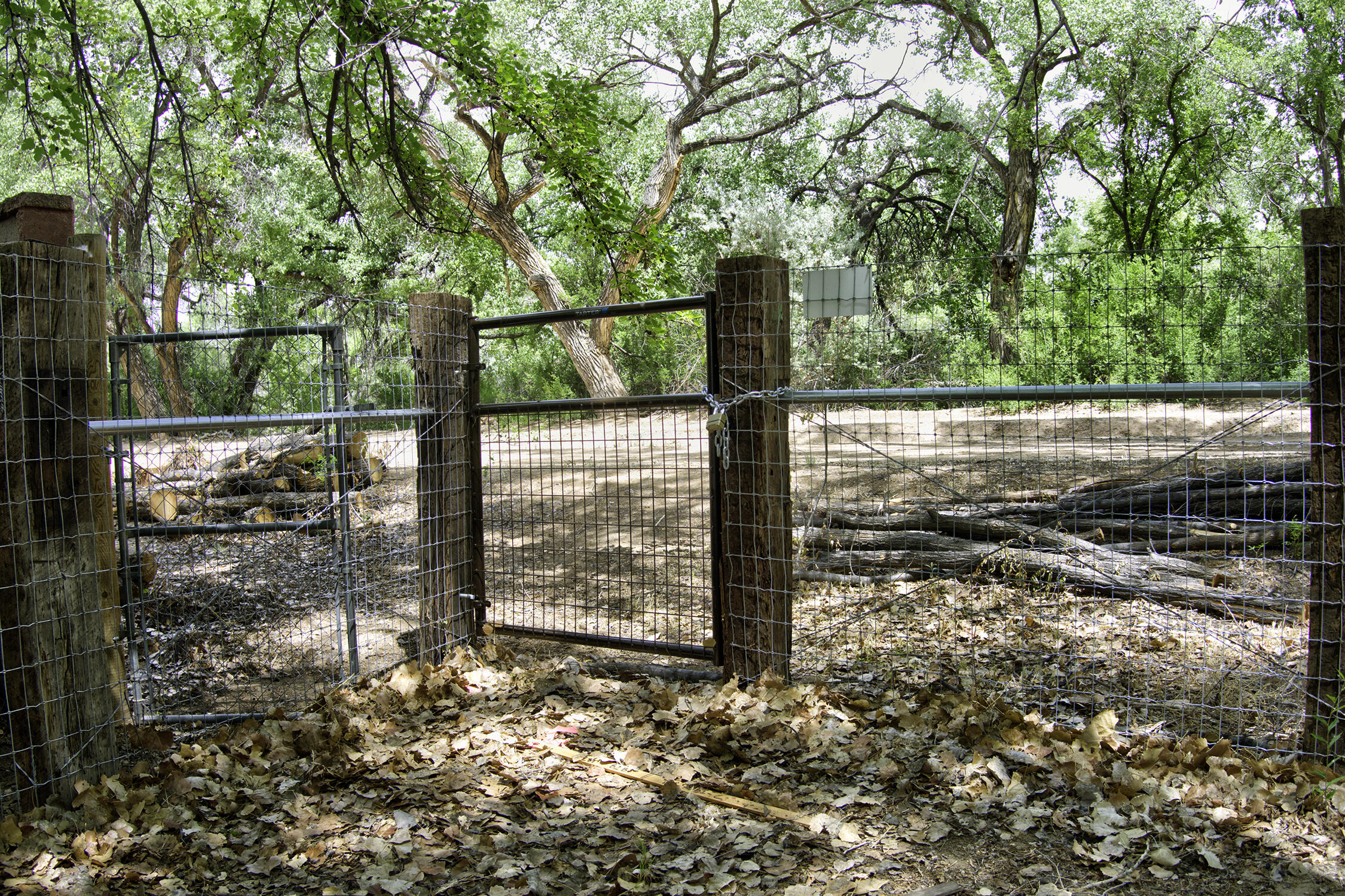 Photo 12 —  Bosque Oculto Lot B1-B