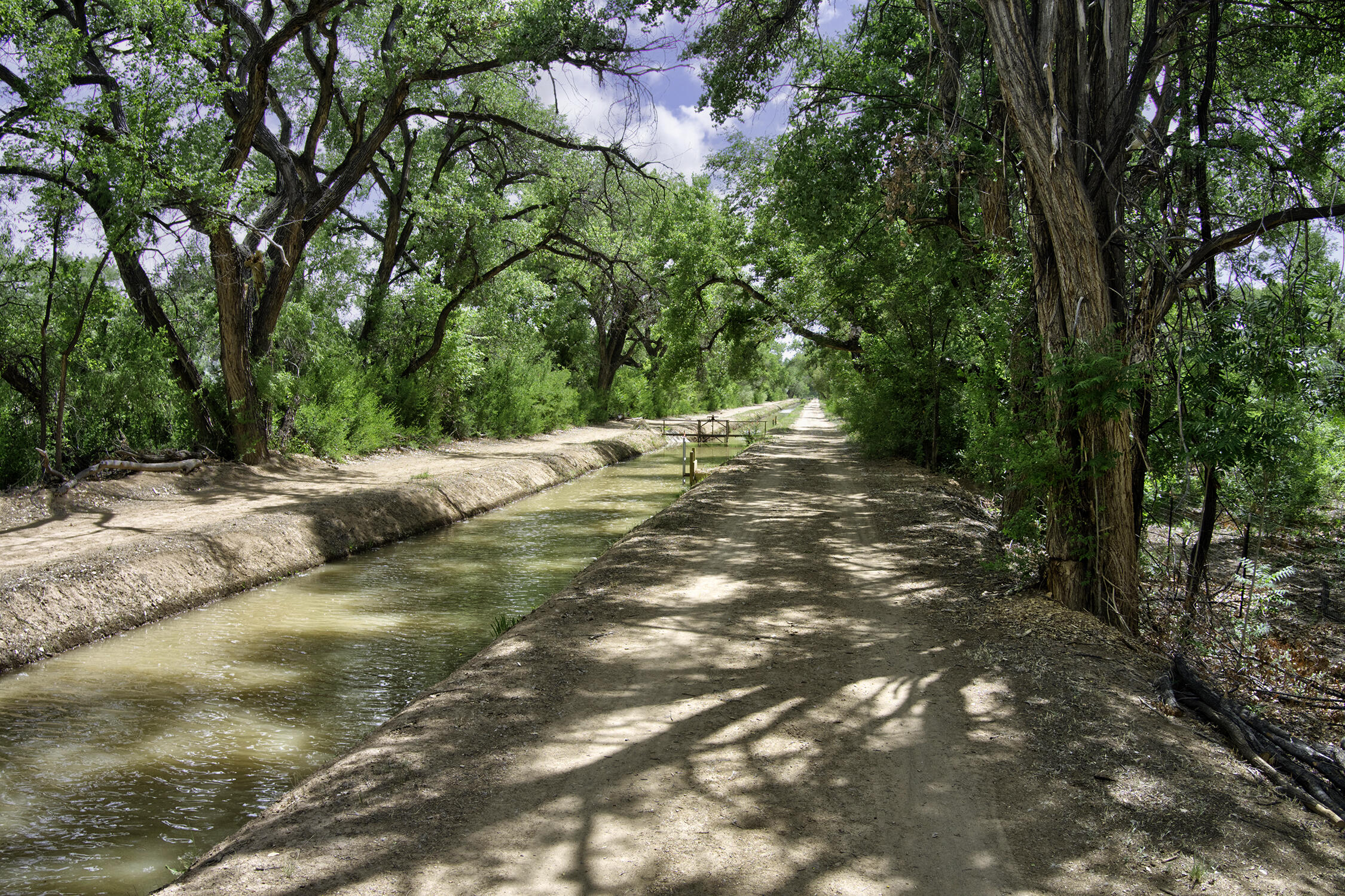 Photo 10 —  Bosque Oculto Lot B1-B