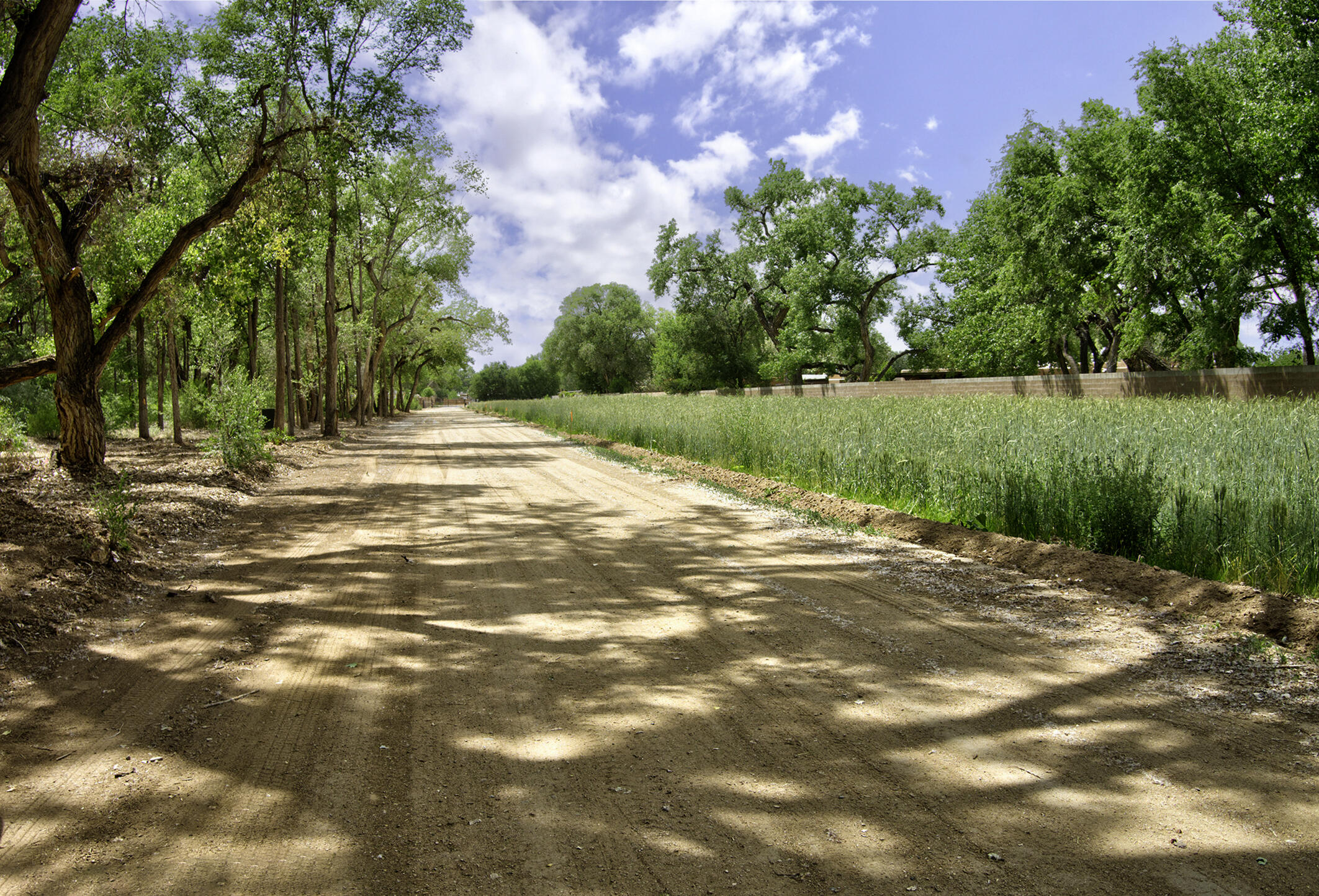 Photo 7 —  Bosque Oculto Lot B1-B