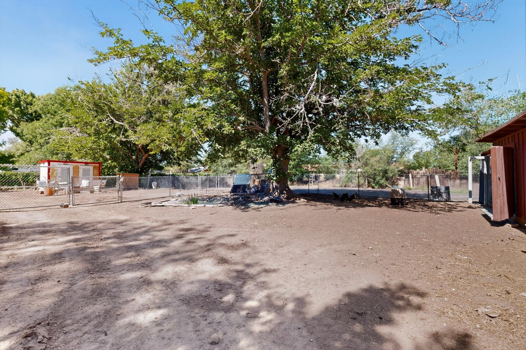 Photo 4 — 1715 Eldorado Loop