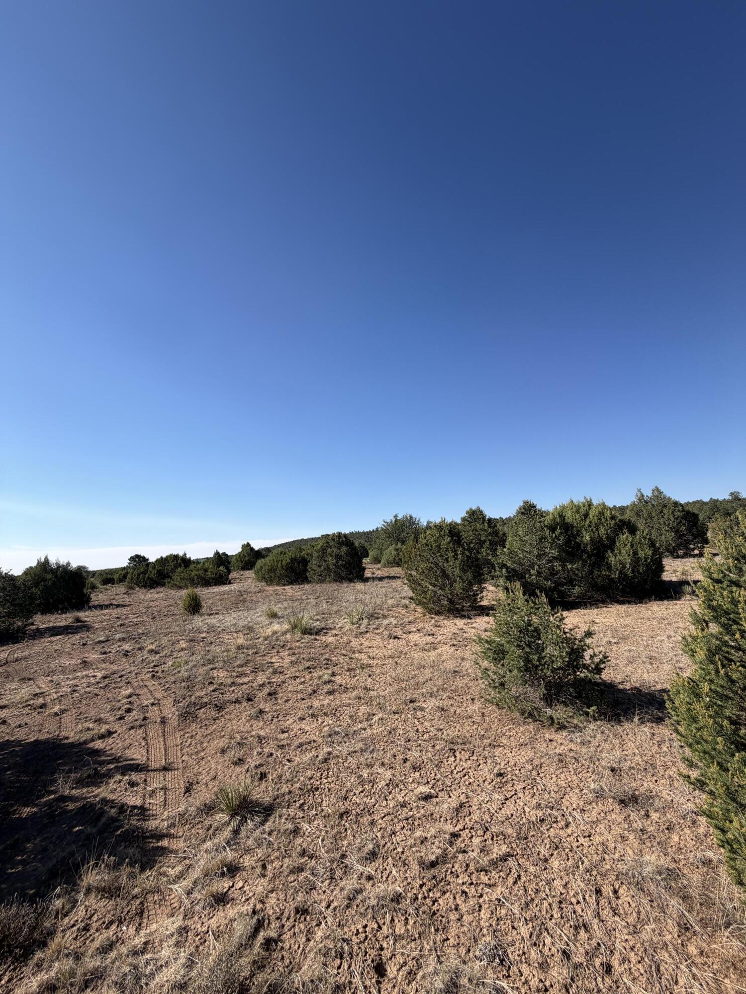 16 TR A-1,2,3&4land of Augustine Drive NE