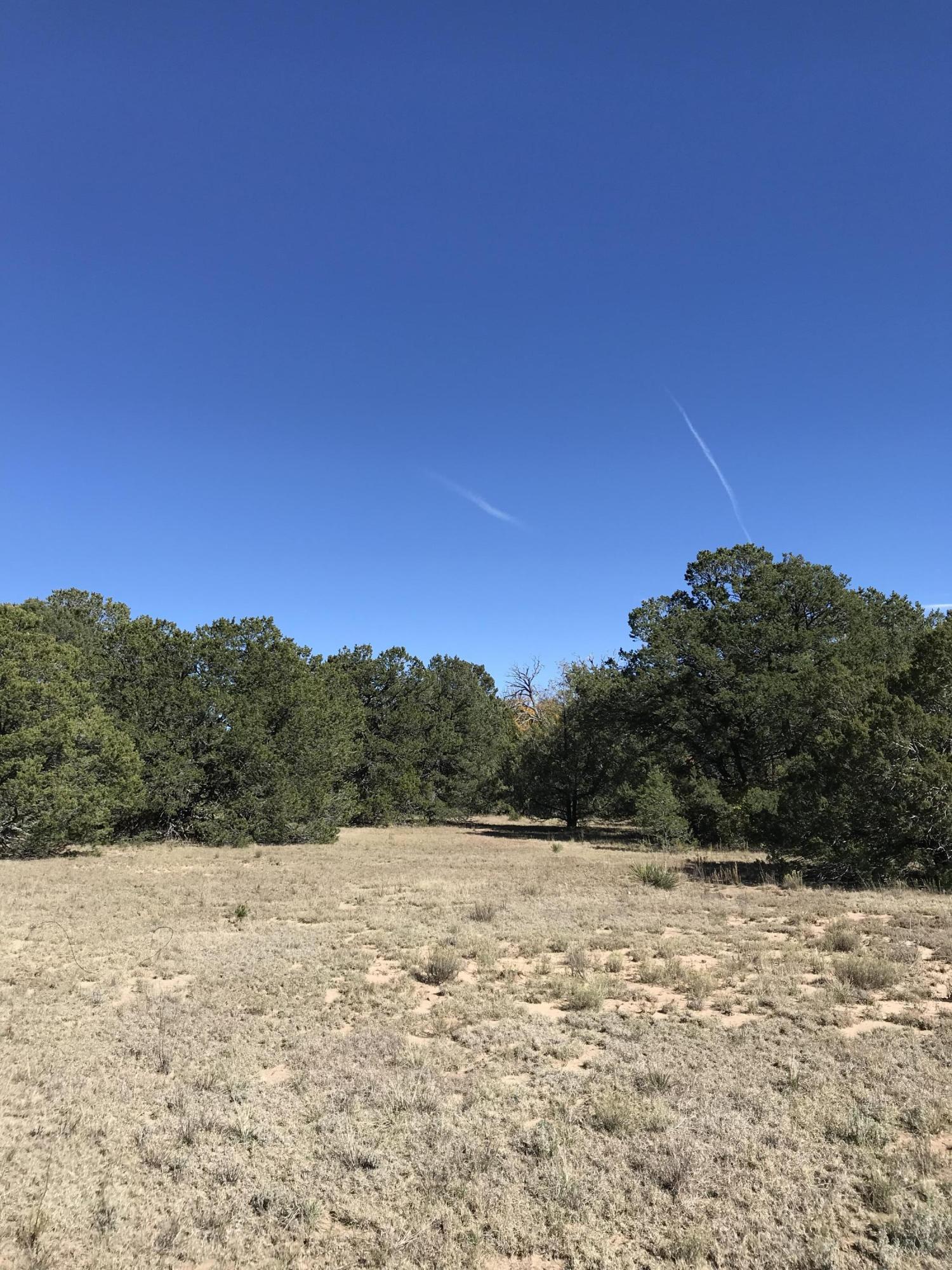 Photo 10 — 16 TR A-1,2,3&4land of Augustine Drive NE