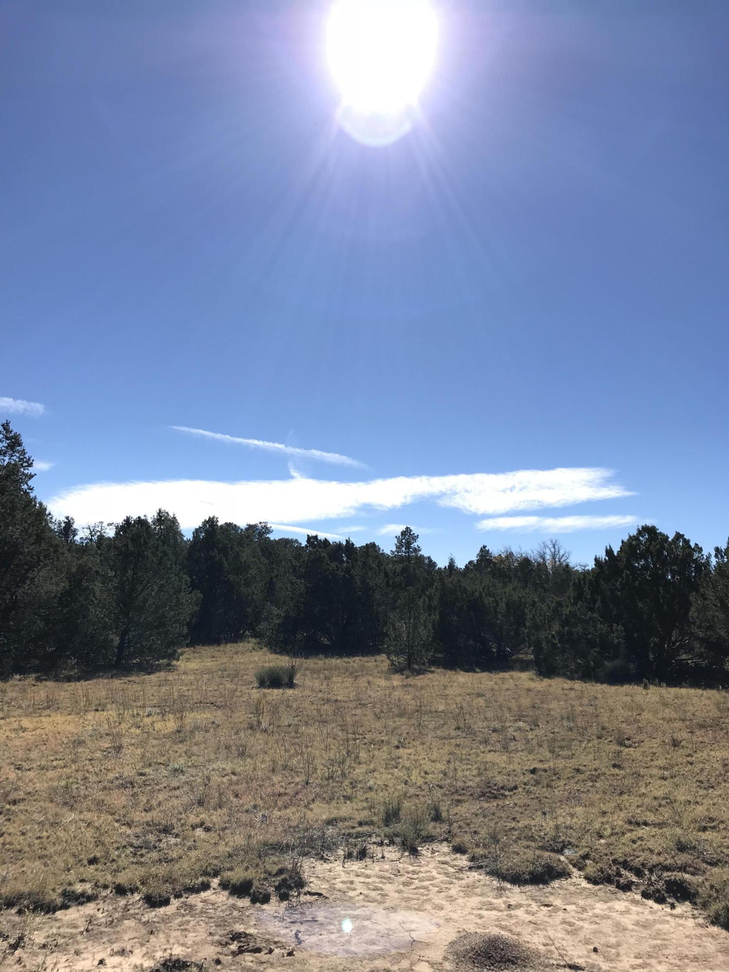 Photo 9 — 16 TR A-1,2,3&4land of Augustine Drive NE