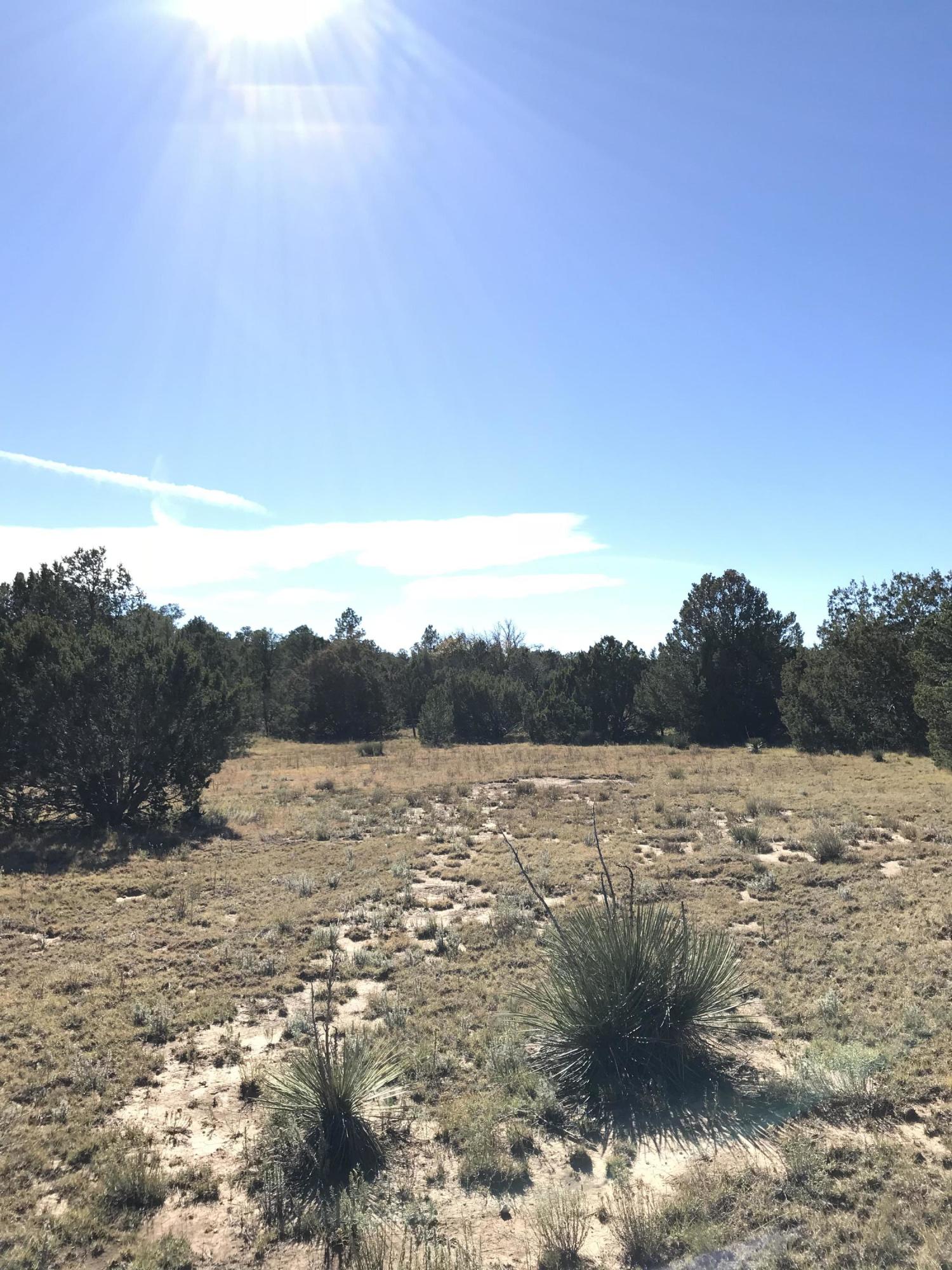 Photo 8 — 16 TR A-1,2,3&4land of Augustine Drive NE