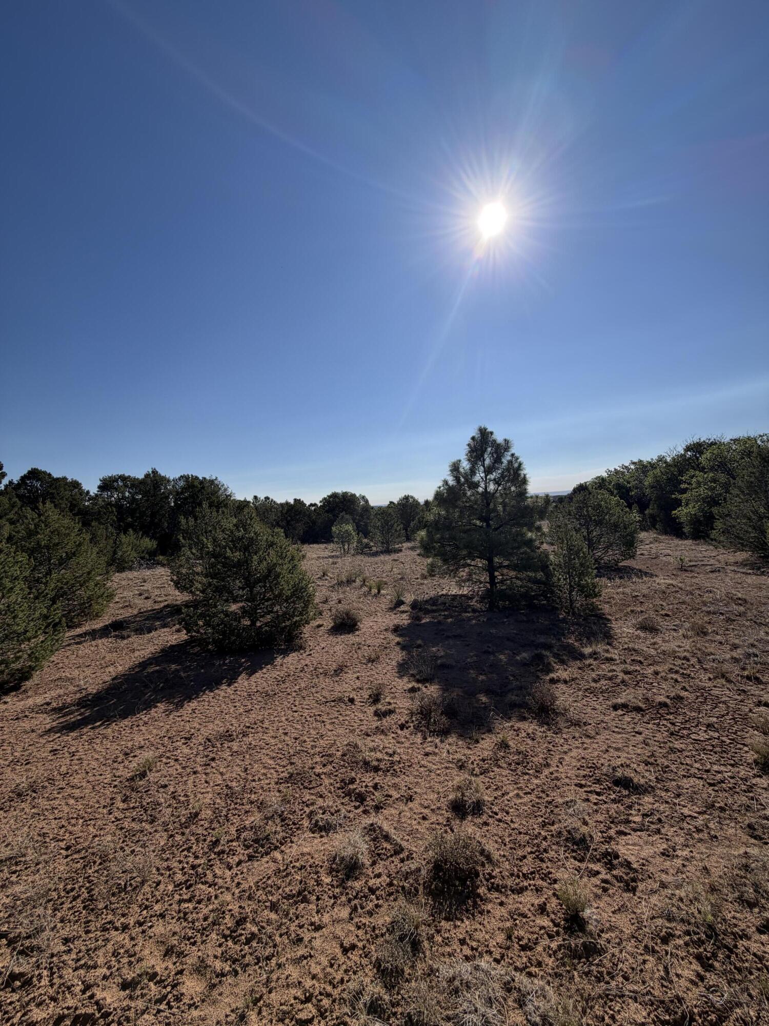 Photo 7 — 16 TR A-1,2,3&4land of Augustine Drive NE