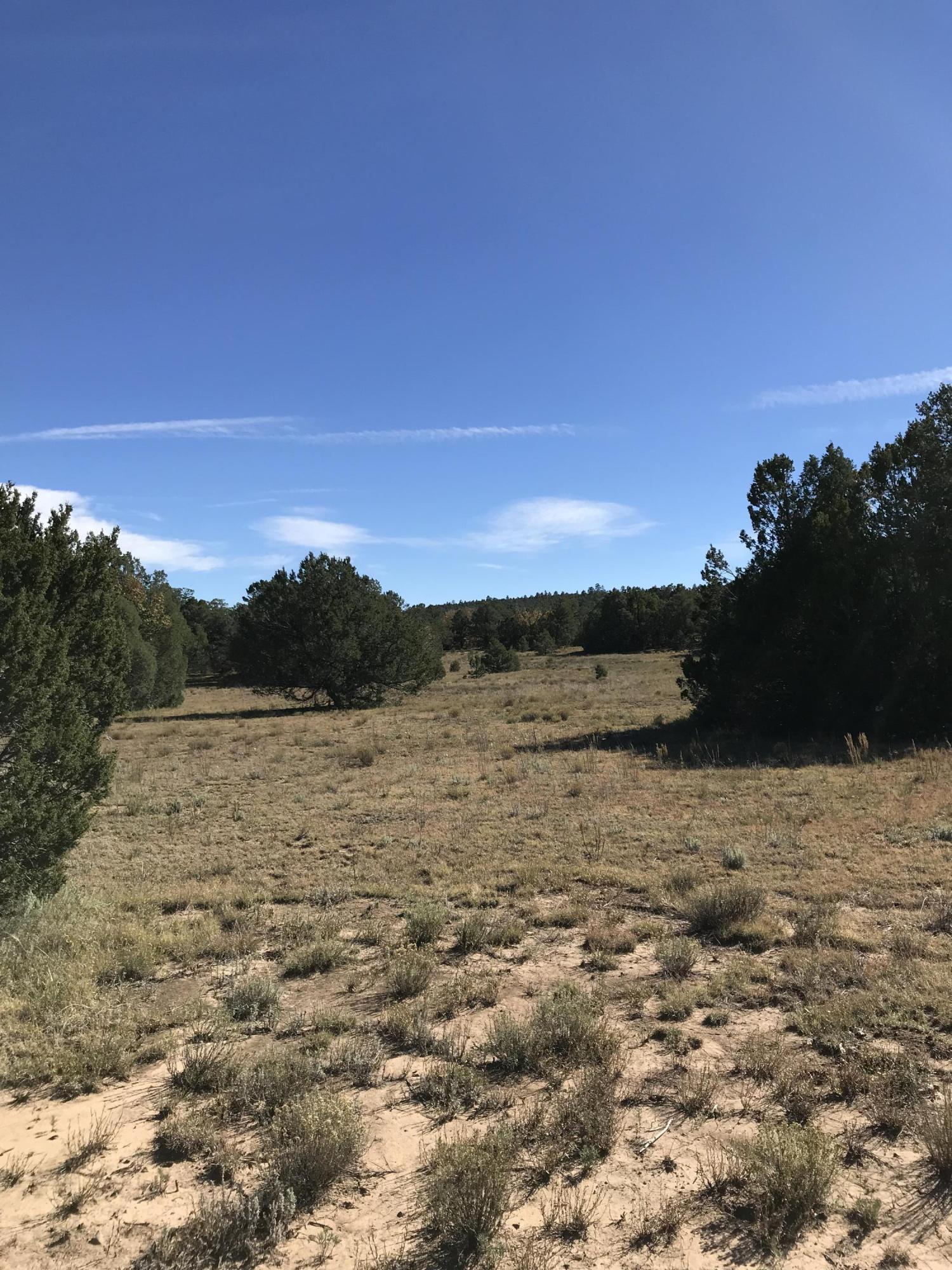 Photo 6 — 16 TR A-1,2,3&4land of Augustine Drive NE