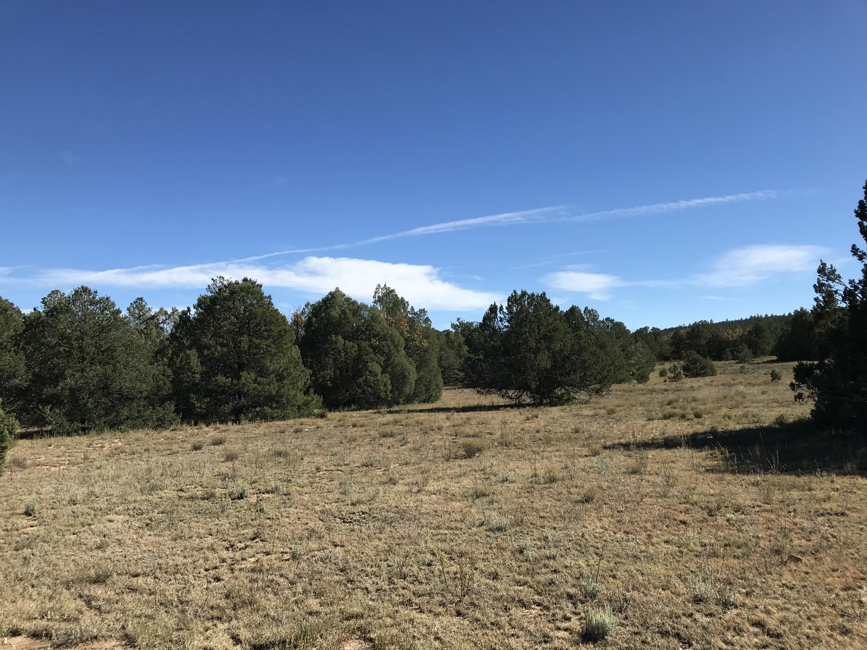 Photo 5 — 16 TR A-1,2,3&4land of Augustine Drive NE