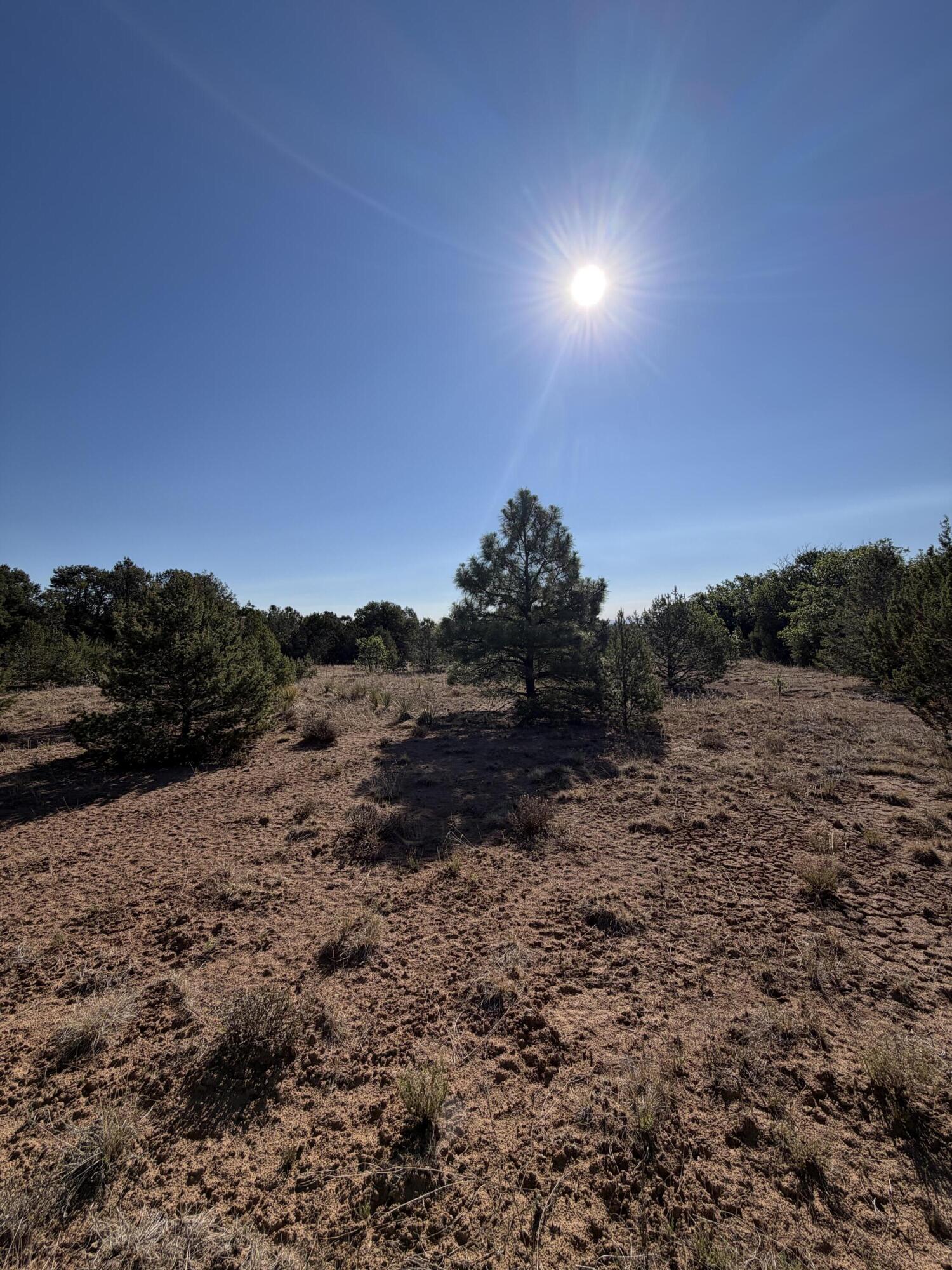 Photo 4 — 16 TR A-1,2,3&4land of Augustine Drive NE