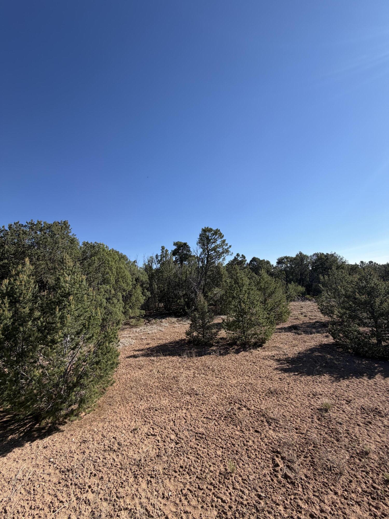 Photo 3 — 16 TR A-1,2,3&4land of Augustine Drive NE