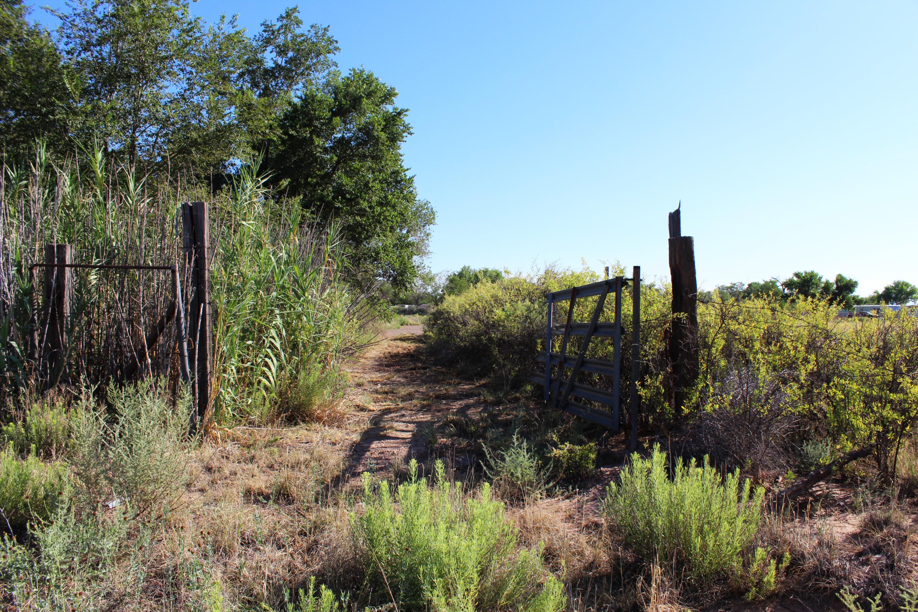 Photo 12 — 0 Mirabel Avenue