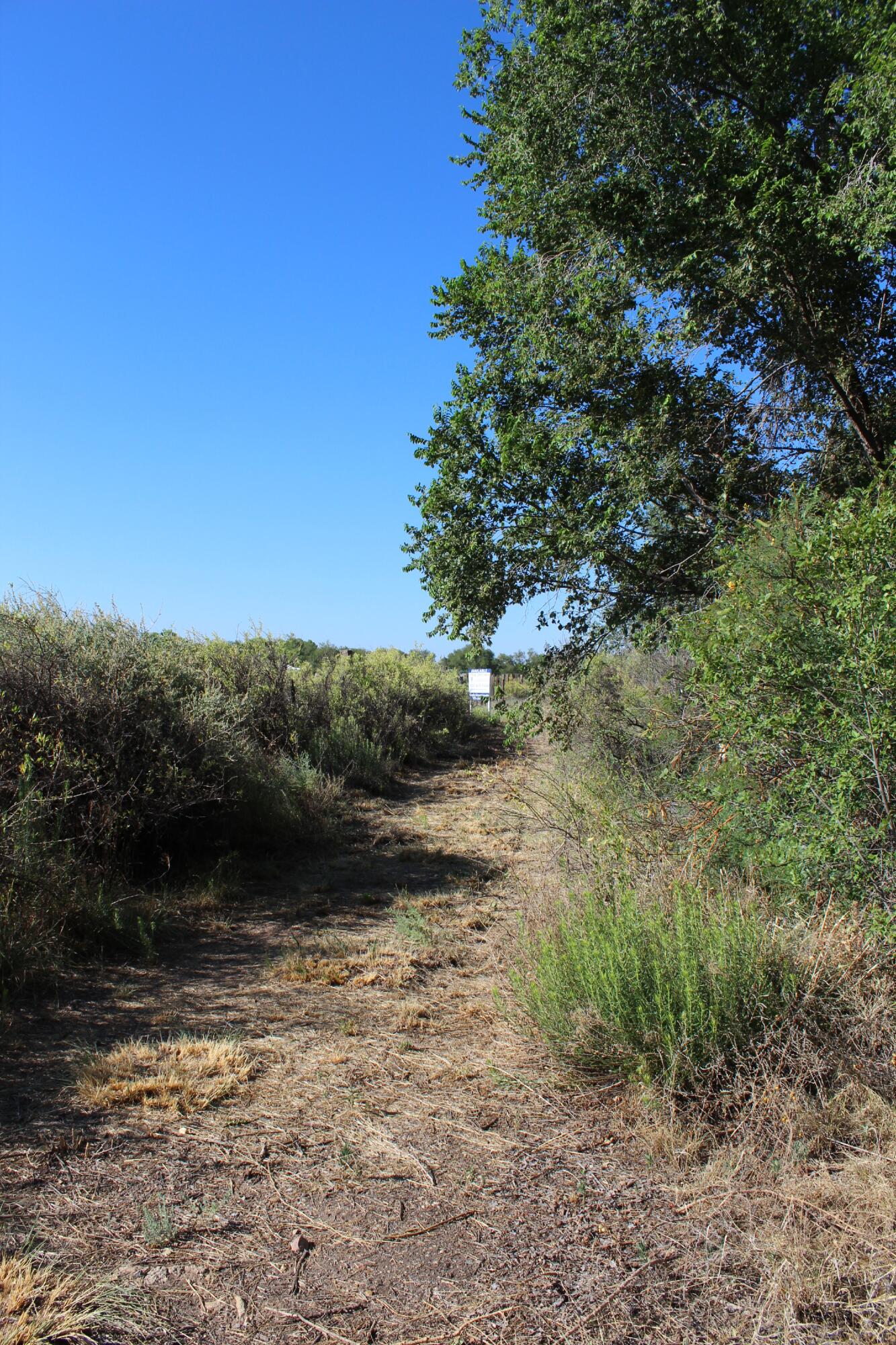 Photo 9 — 0 Mirabel Avenue
