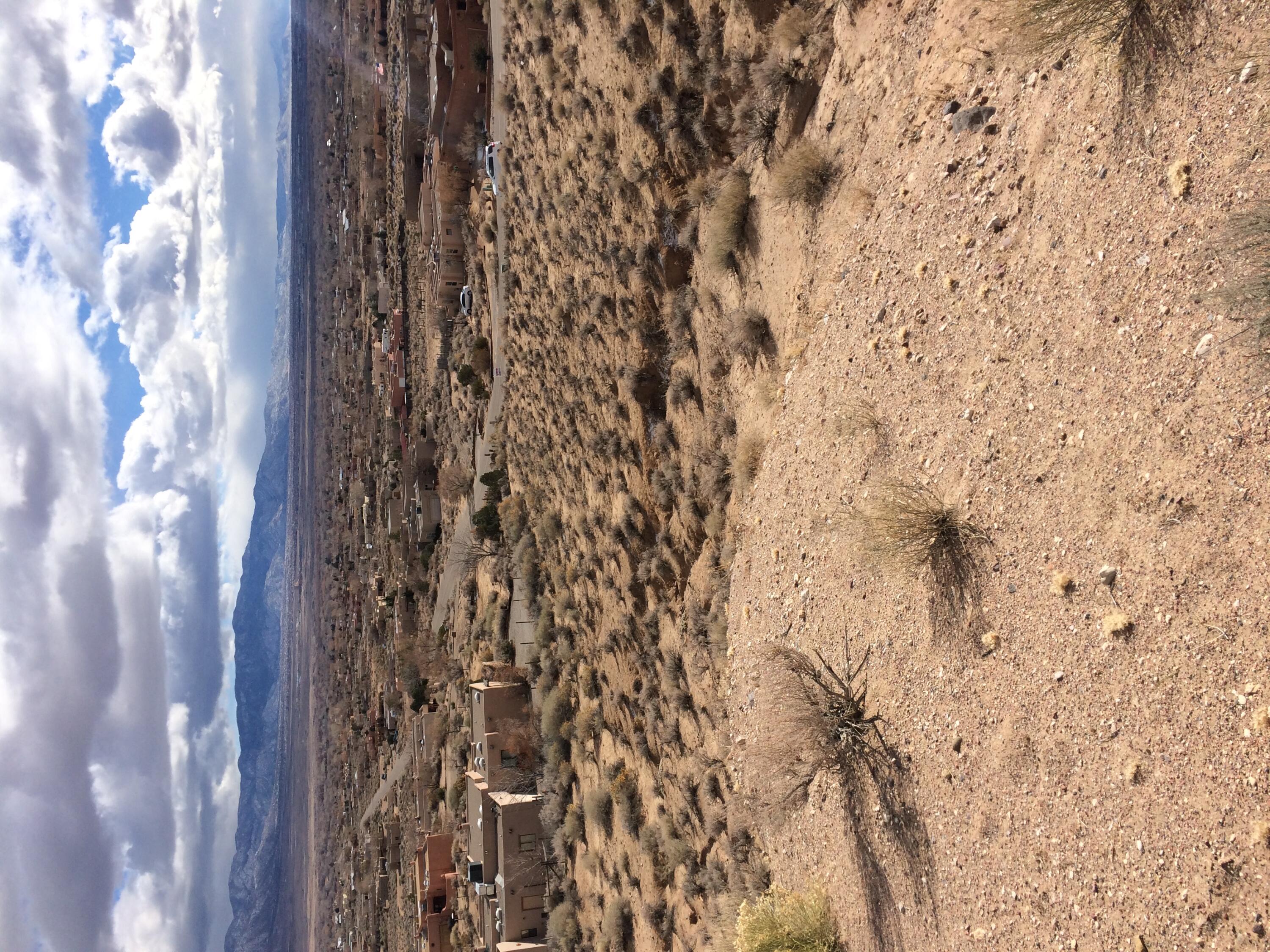 Photo 4 — 190 Tierra Encantada