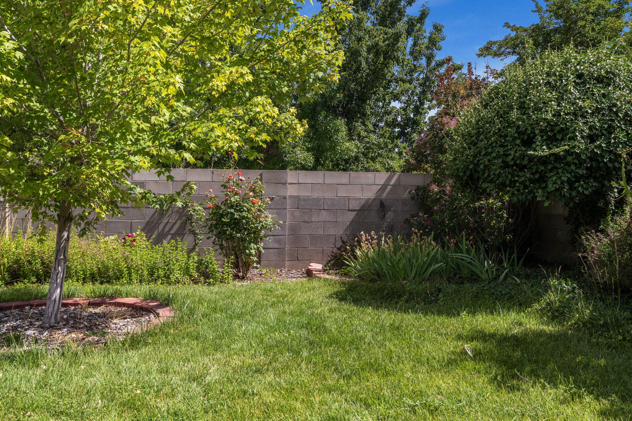 Photo 6 — 9412 Lona Lane NE