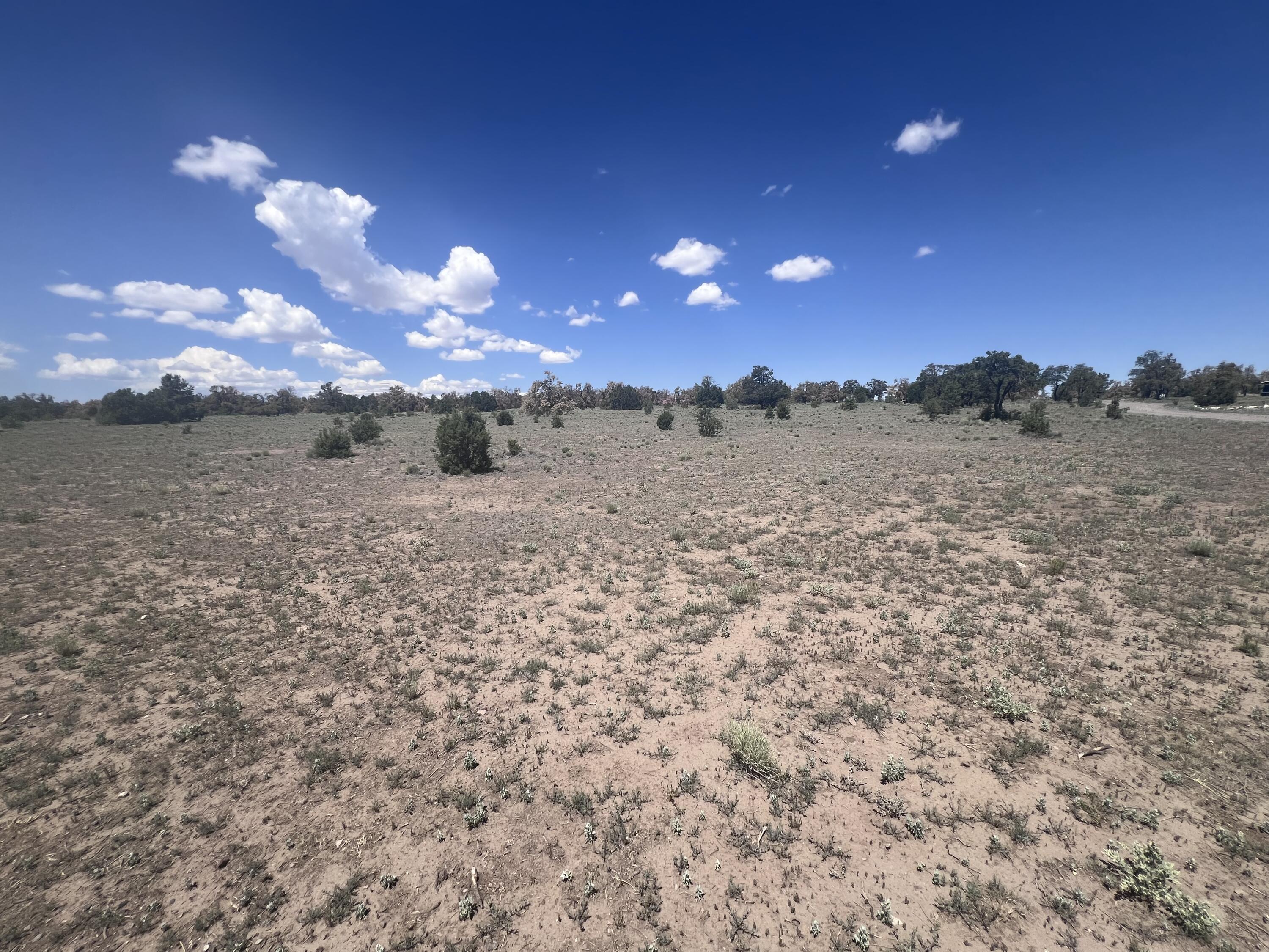 Photo 15 — 9 ARTESIAN AVENUE LOT 79