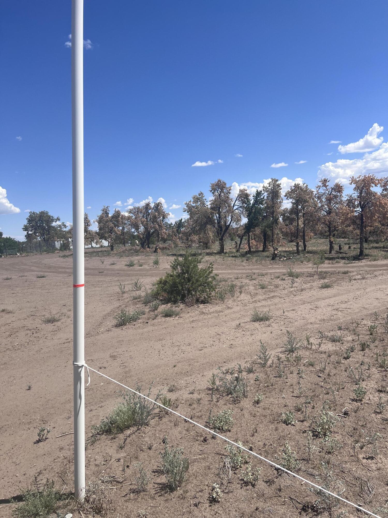 Photo 14 — 9 ARTESIAN AVENUE LOT 79