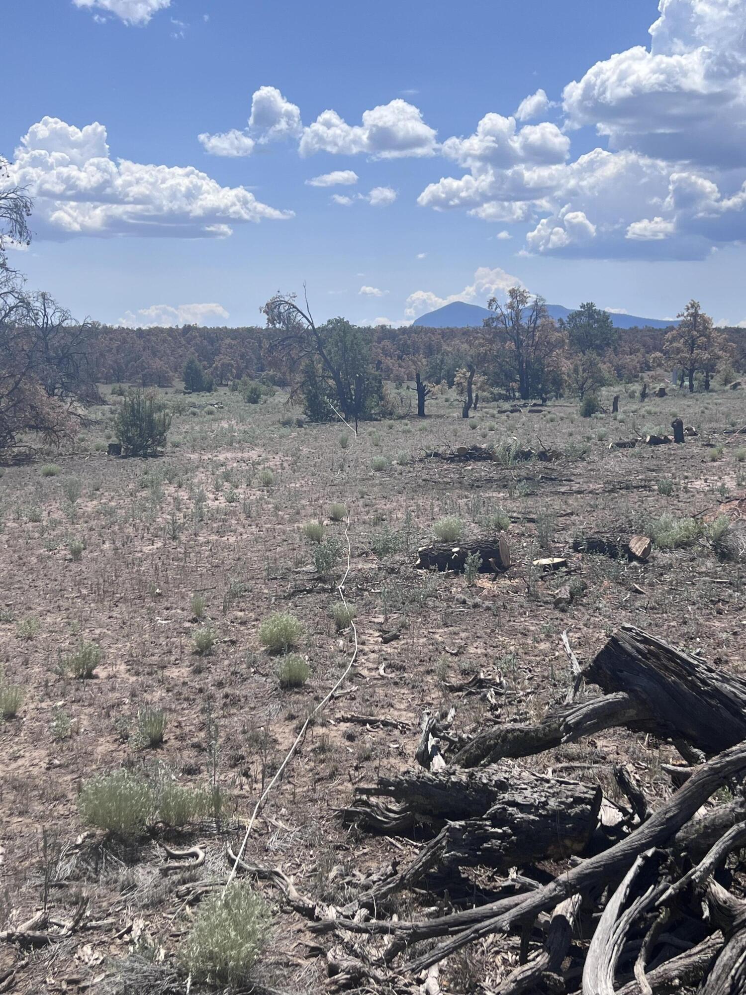 Photo 10 — 9 ARTESIAN AVENUE LOT 79