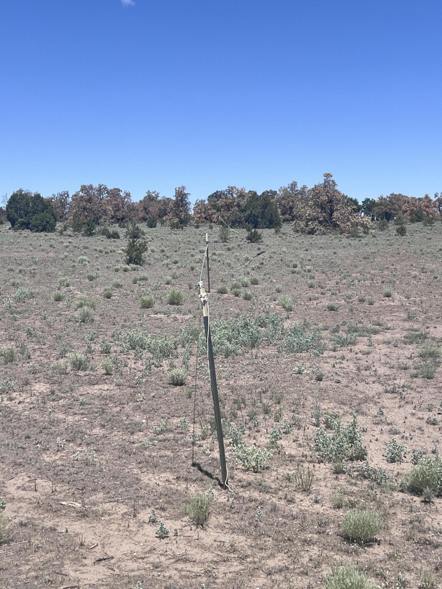 Photo 9 — 9 ARTESIAN AVENUE LOT 79