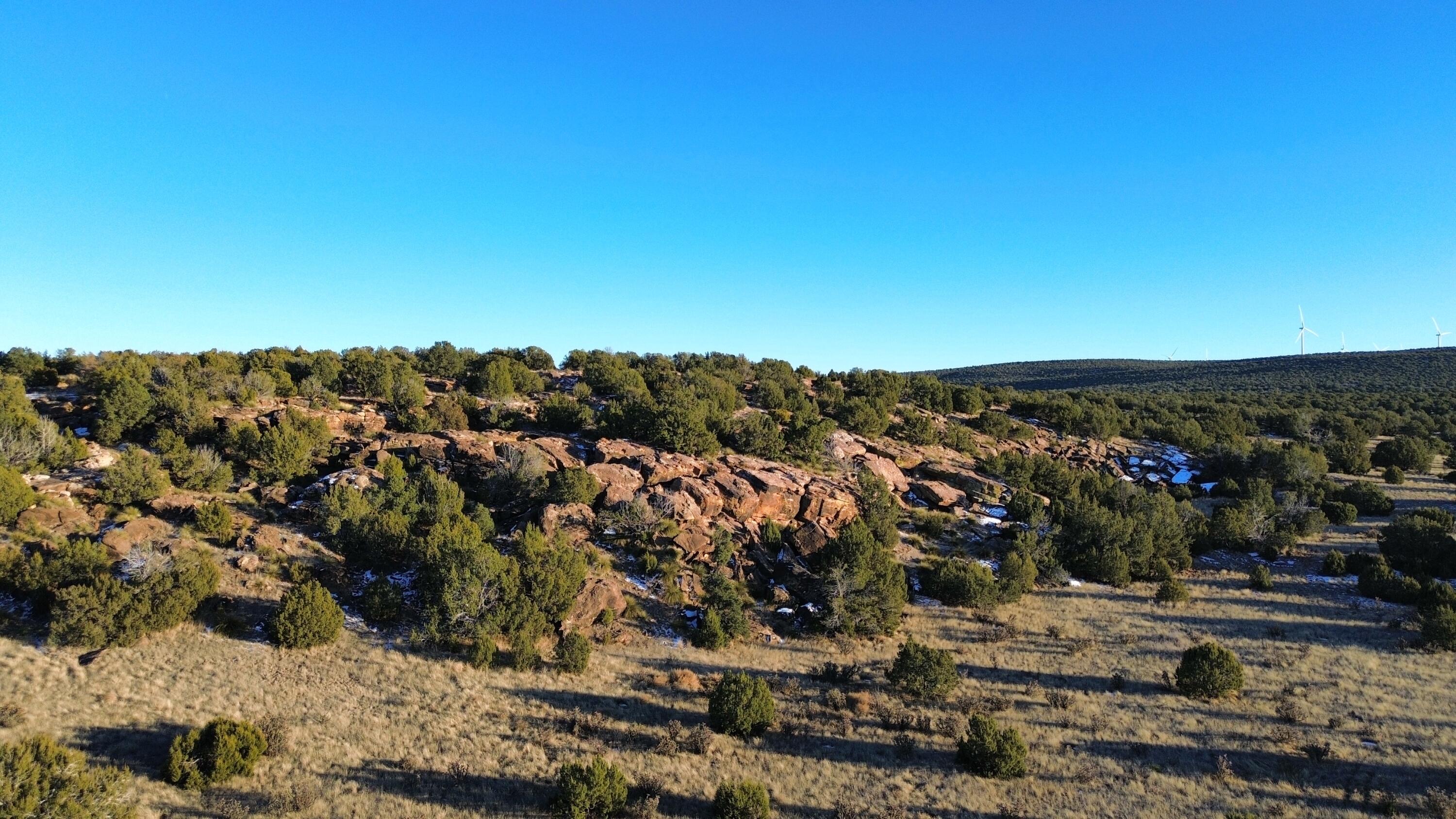 Photo 5 — 2324 Lost Saddle Loop