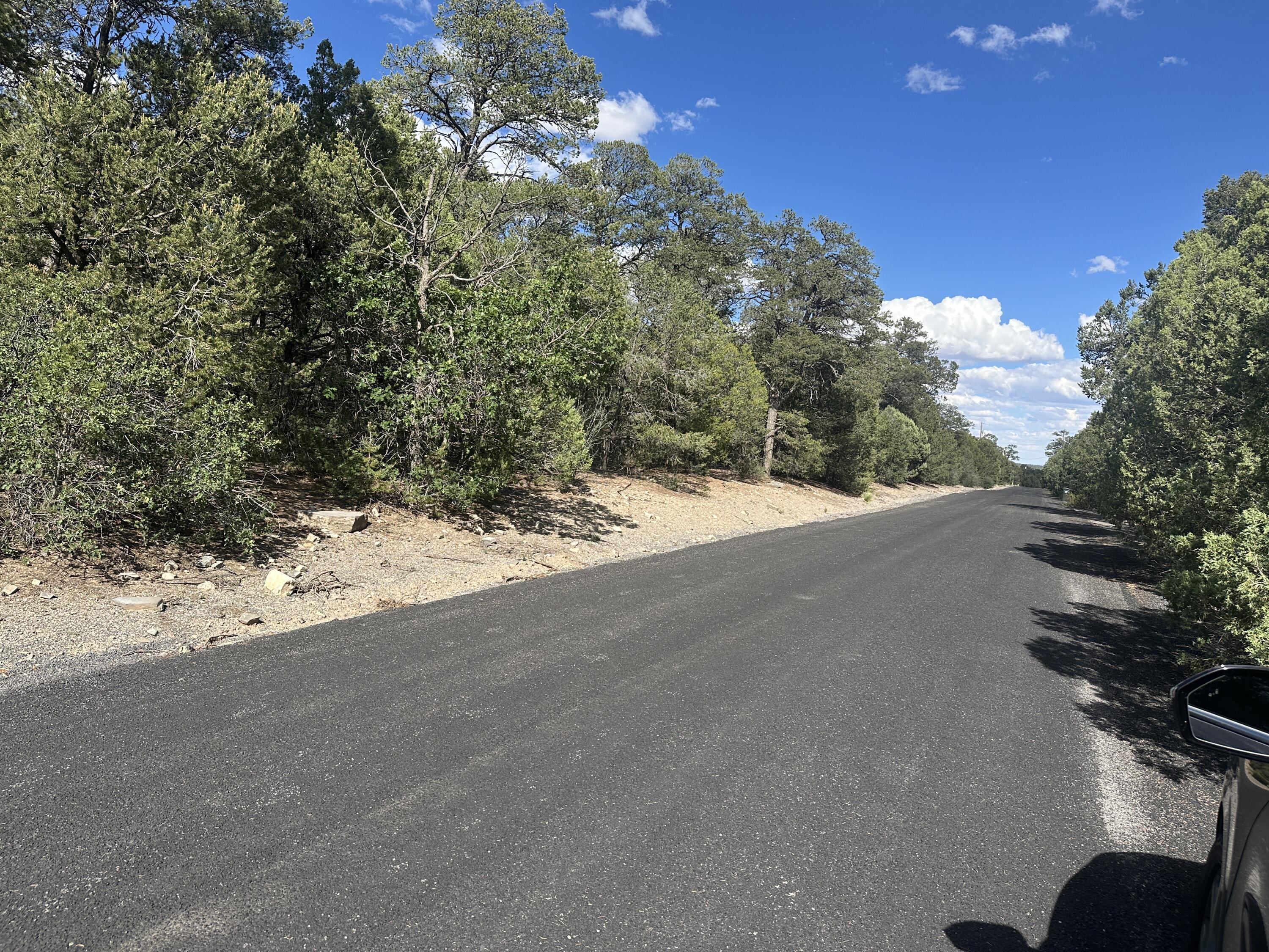 Photo 6 — 9 Camino Sombreado