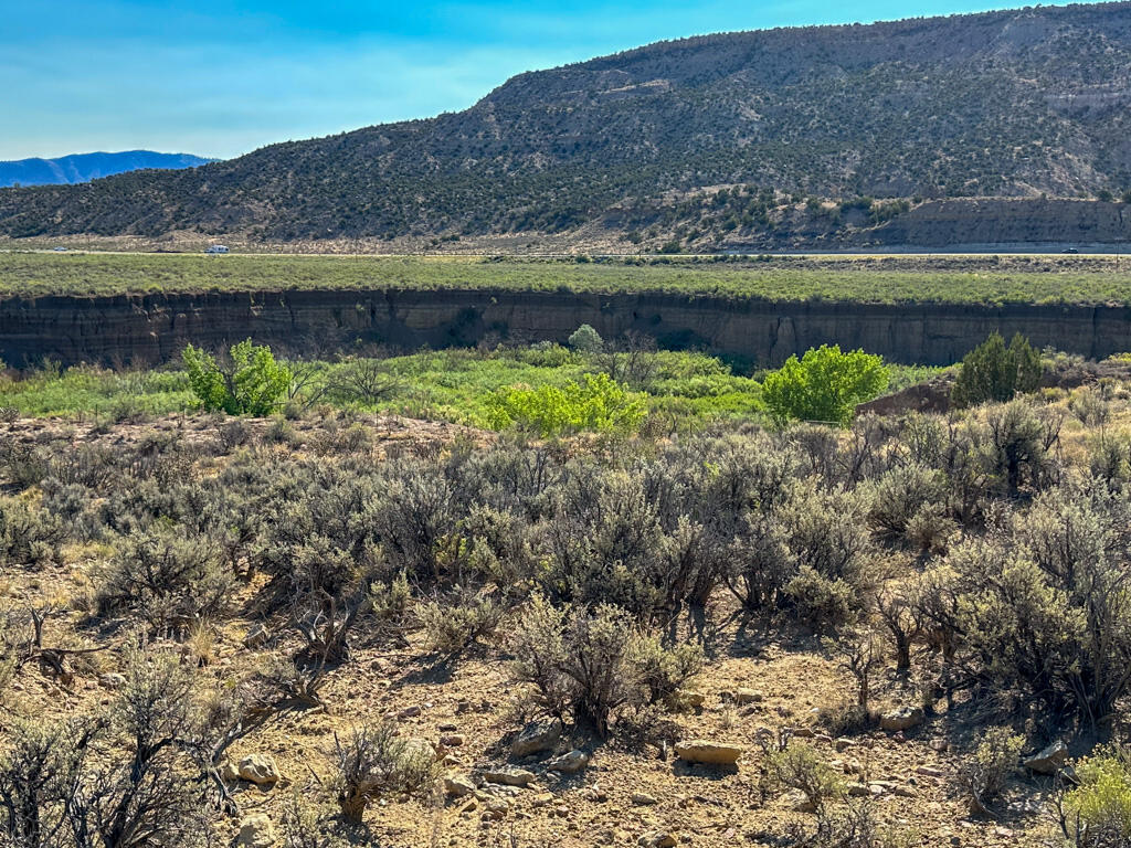 Photo 4 —  US Hwy 550